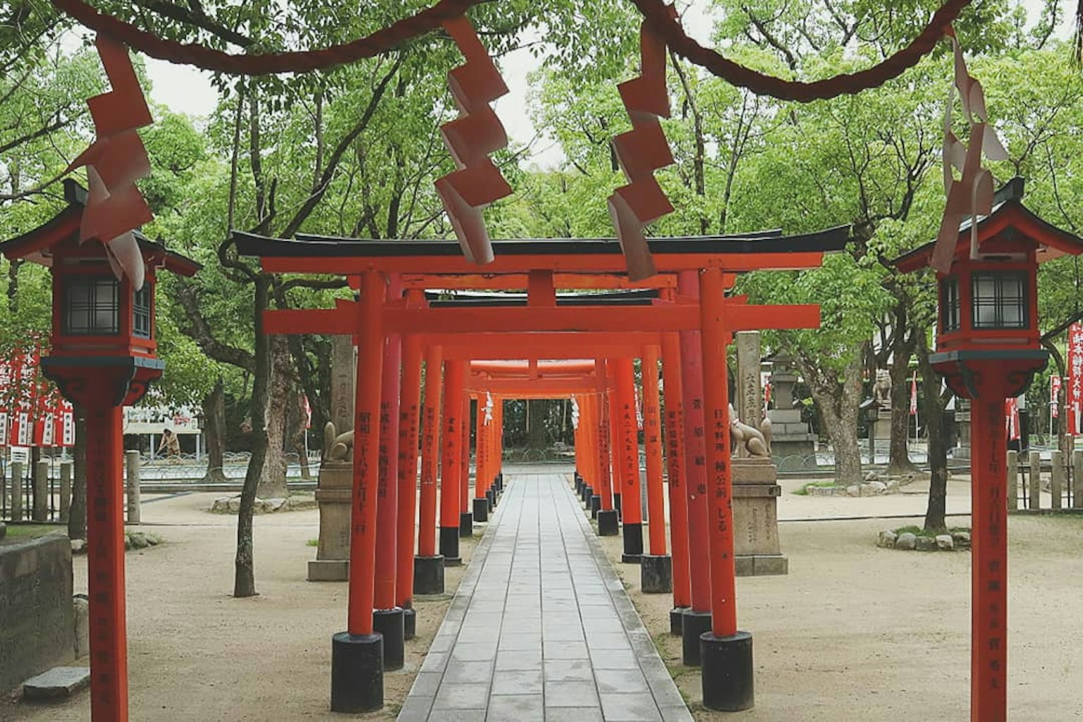 被绿色树木环绕的宁静神社的红色鸟居小径