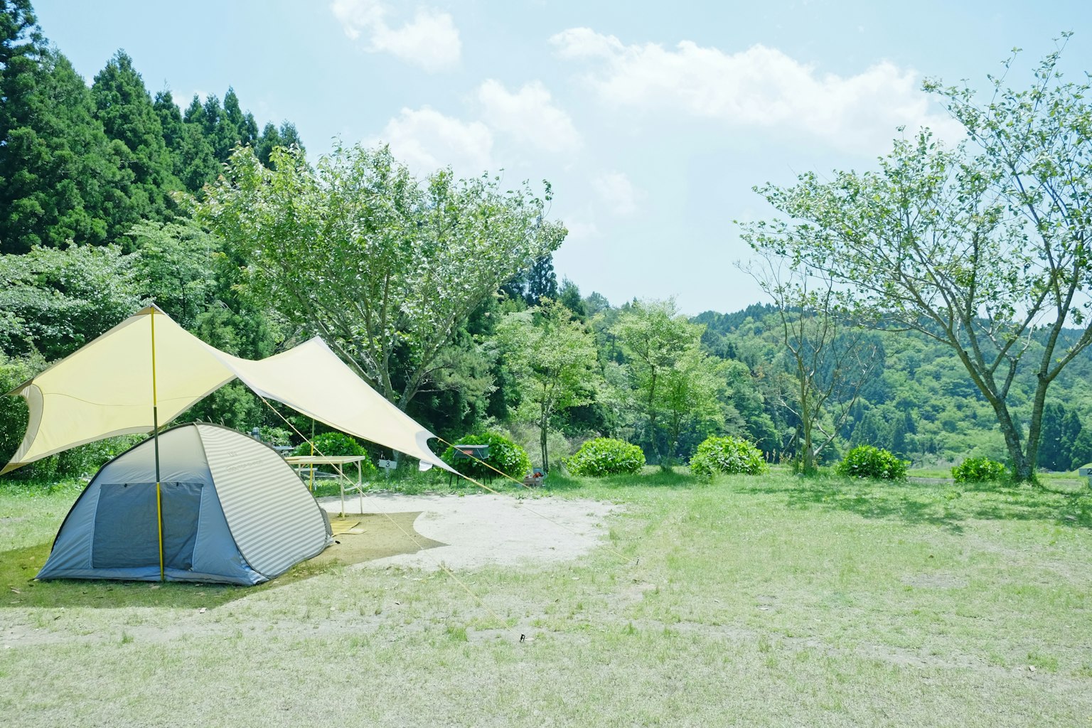 Un campeggio tranquillo con una tenda e un telo circondati da vegetazione lussureggiante
