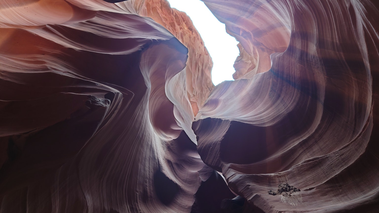 Vista dall'interno del Canyon Antelope guardando in alto con strati di roccia liscia e contrasto di luce naturale