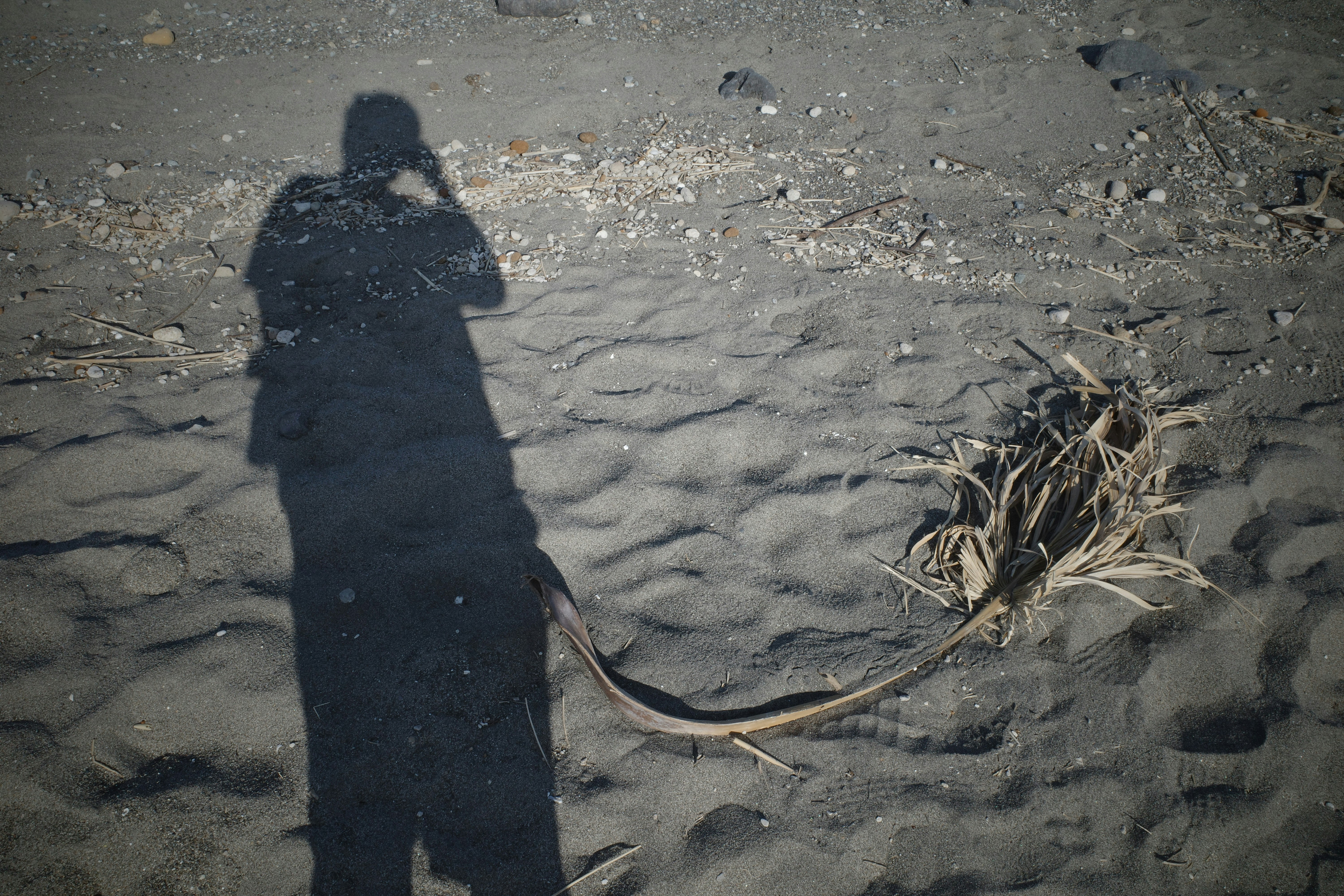 shadowy figure reaching on a sandy beach with seaweed
