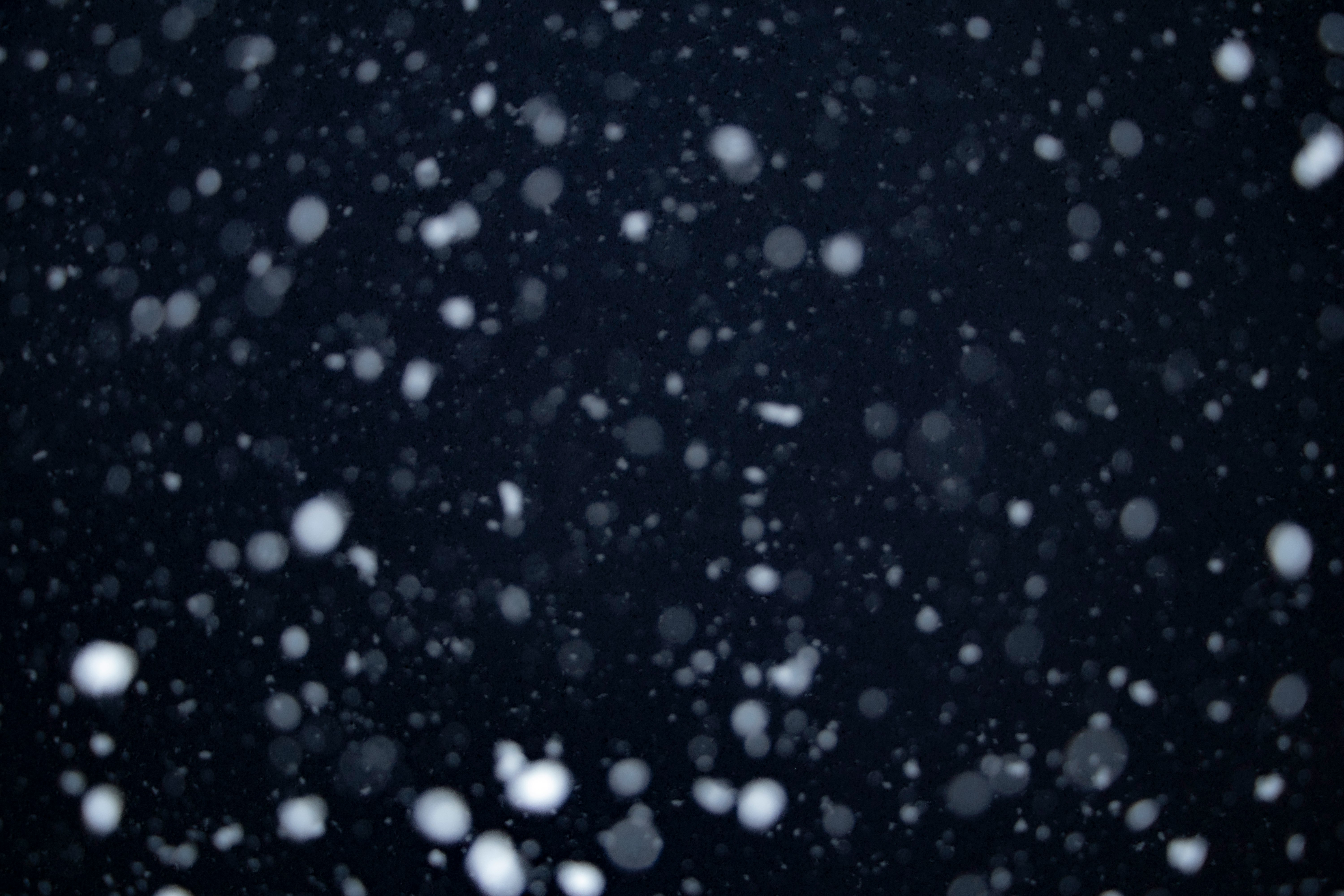 像雪一样的微粒飘落在深色背景上