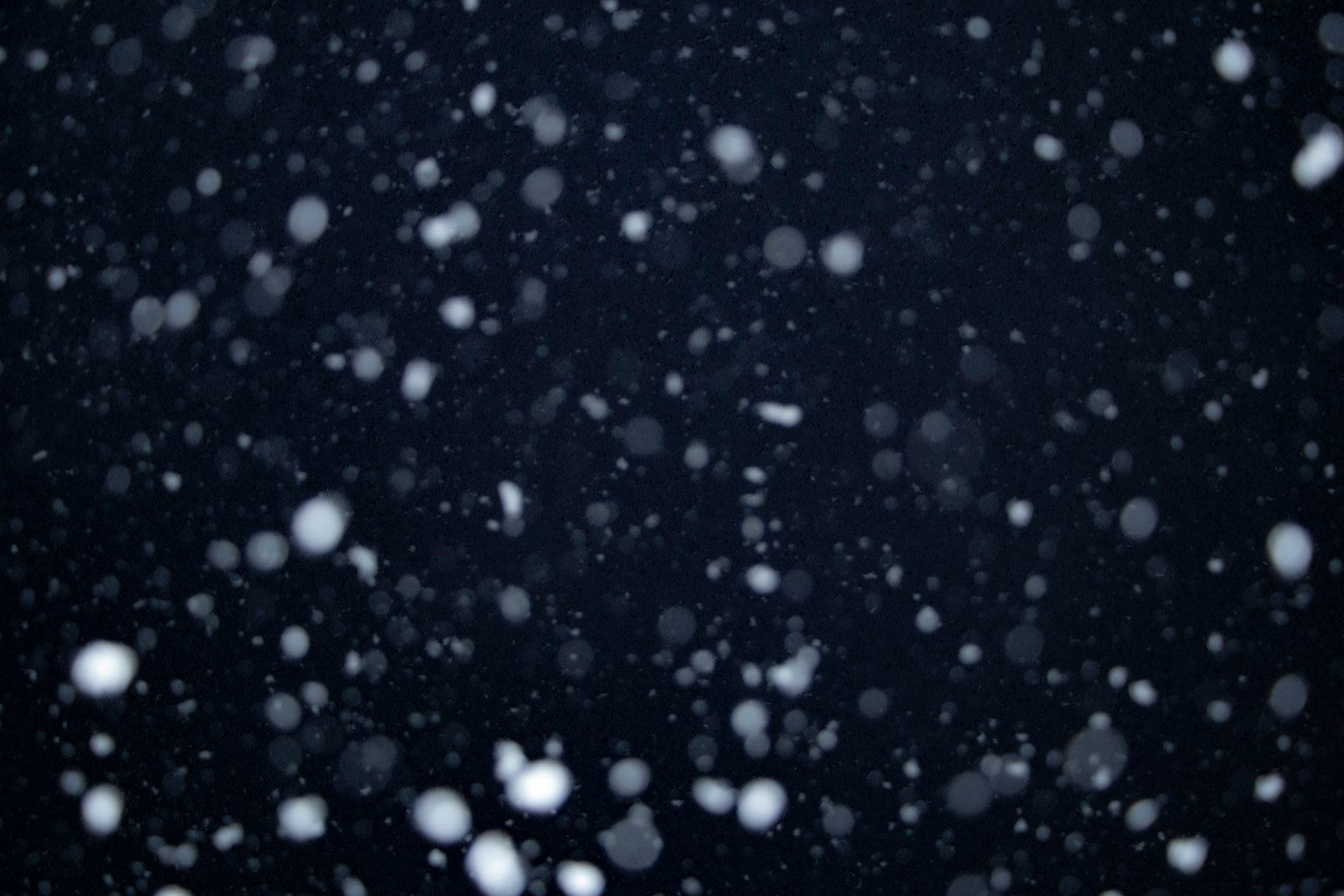 Schneeflocken fallen vor einem dunklen Hintergrund