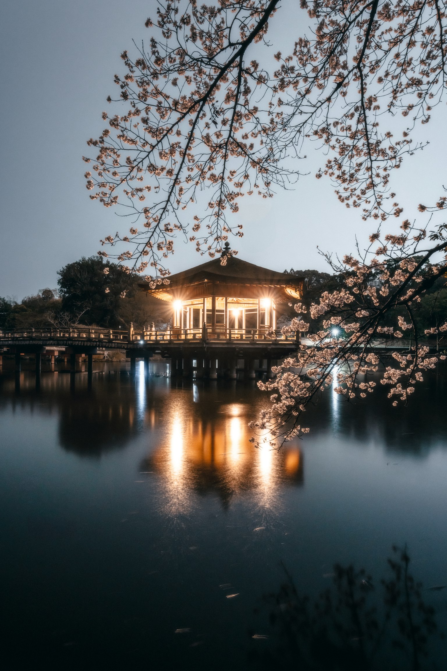 photo-RUjUZ9n0n4EK2uU6jOhW-image