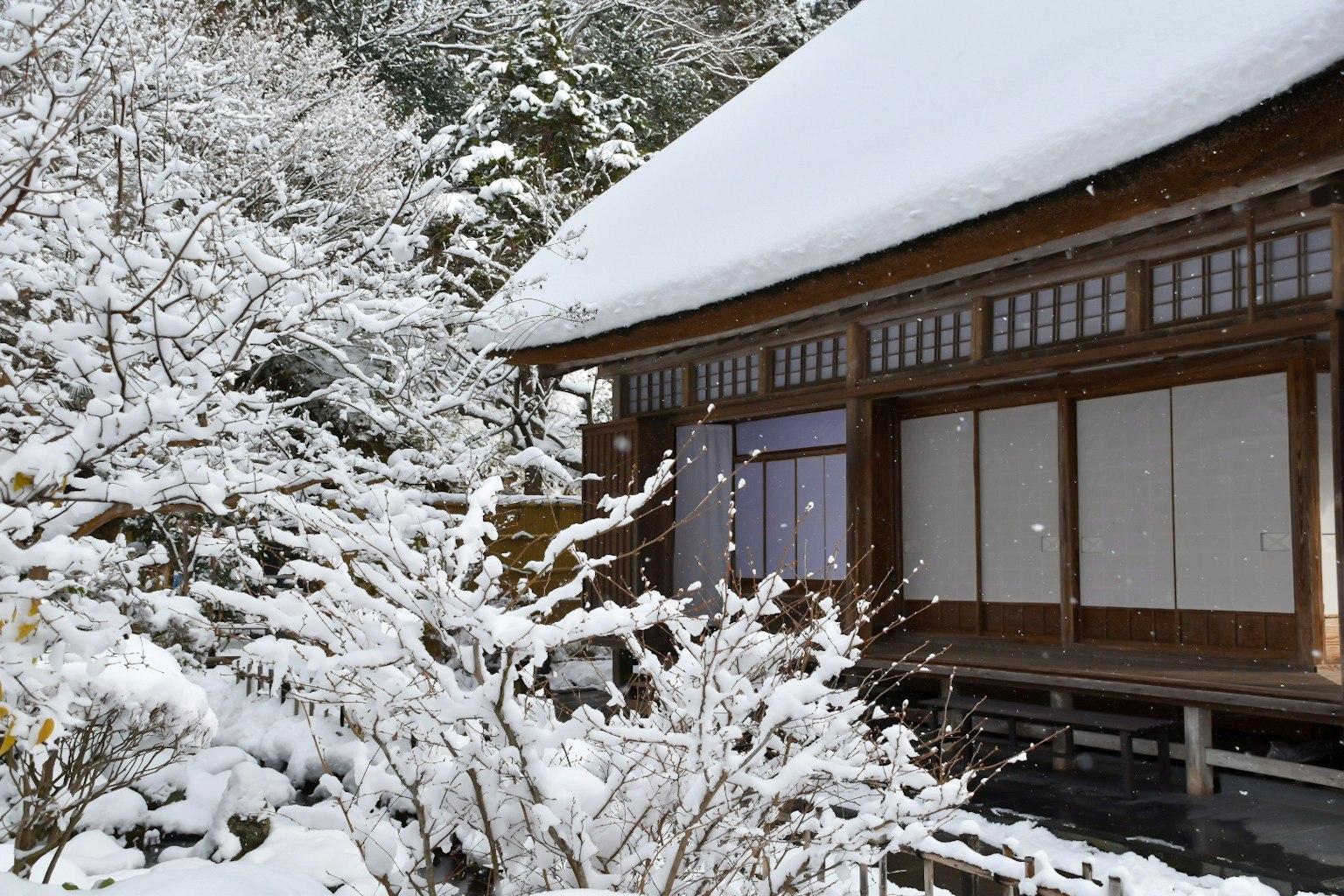 Rumah tradisional Jepang yang tertutup salju dengan alam sekitarnya