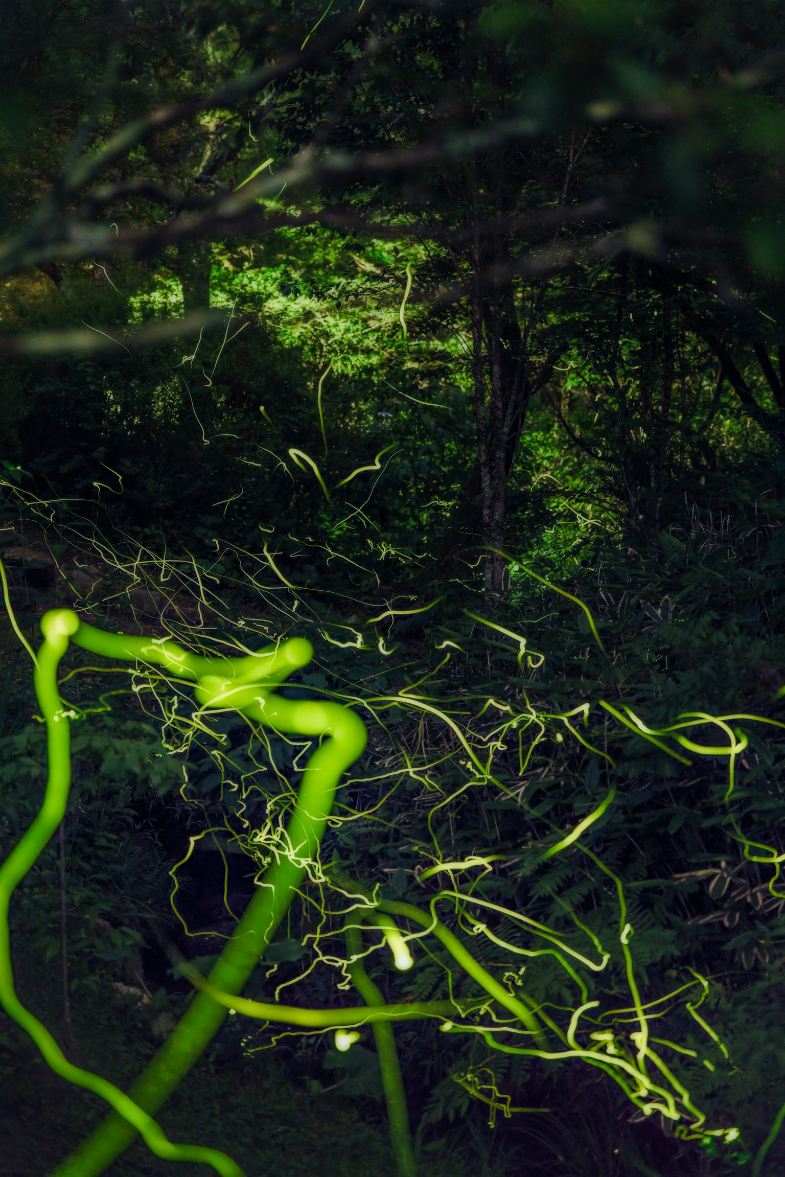 photo-RVXCSdQTs9K79Qr3etY6-image