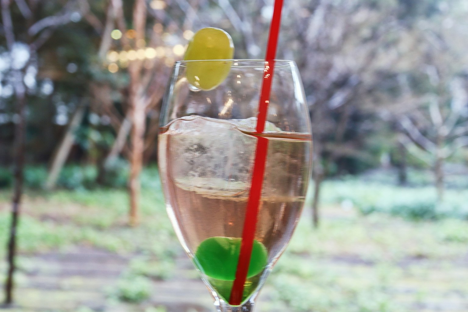 Cóctel en un vaso transparente con hielo y una rodaja de limón con una pajita roja