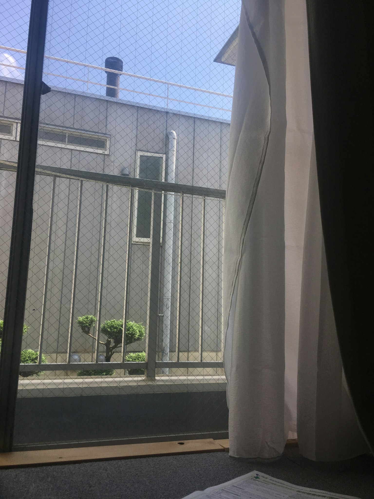 从窗户看出去的阳台和白色窗帘的景色