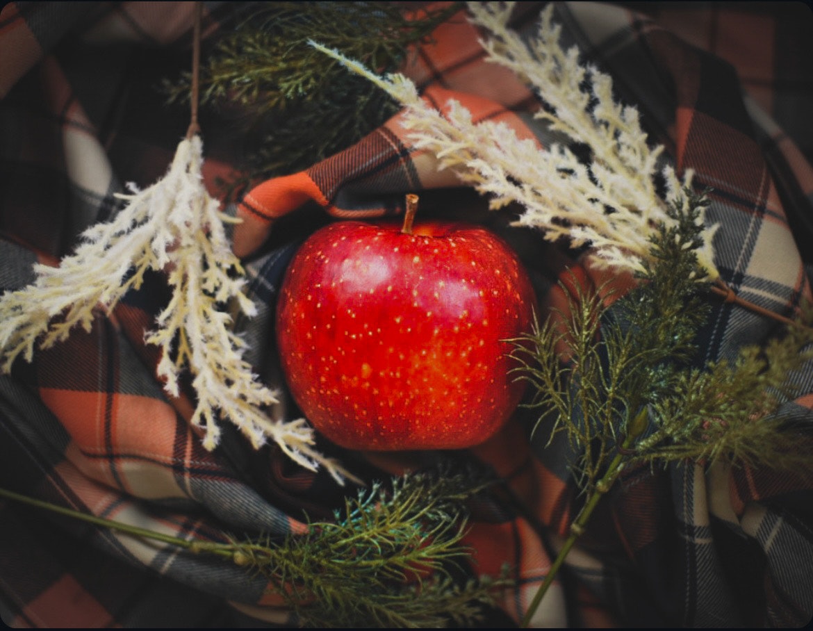 photo-RWX2Od2YnANPjzQ00QlX-image