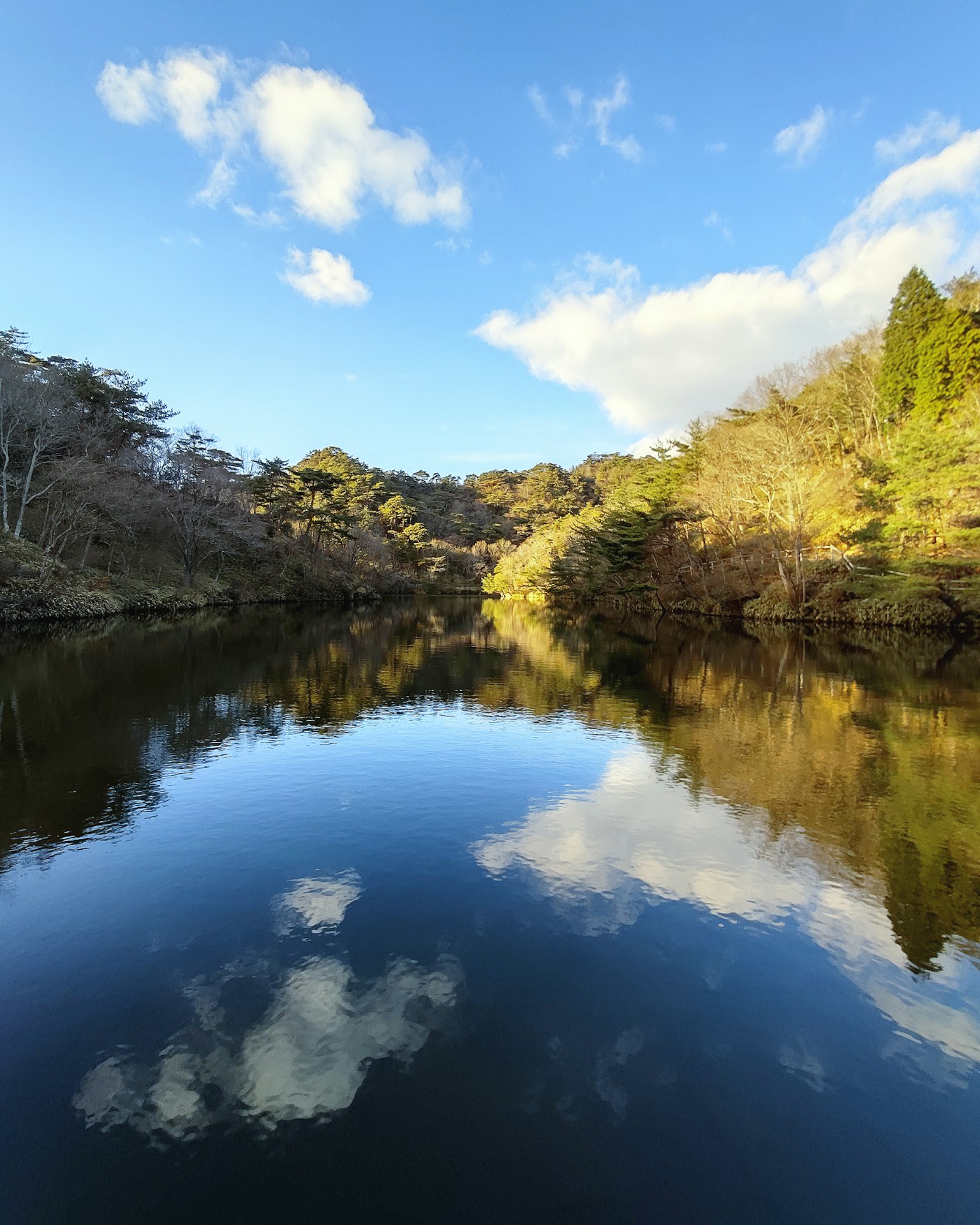 photo-RWqcejkXKbFvLb19b1yH-image