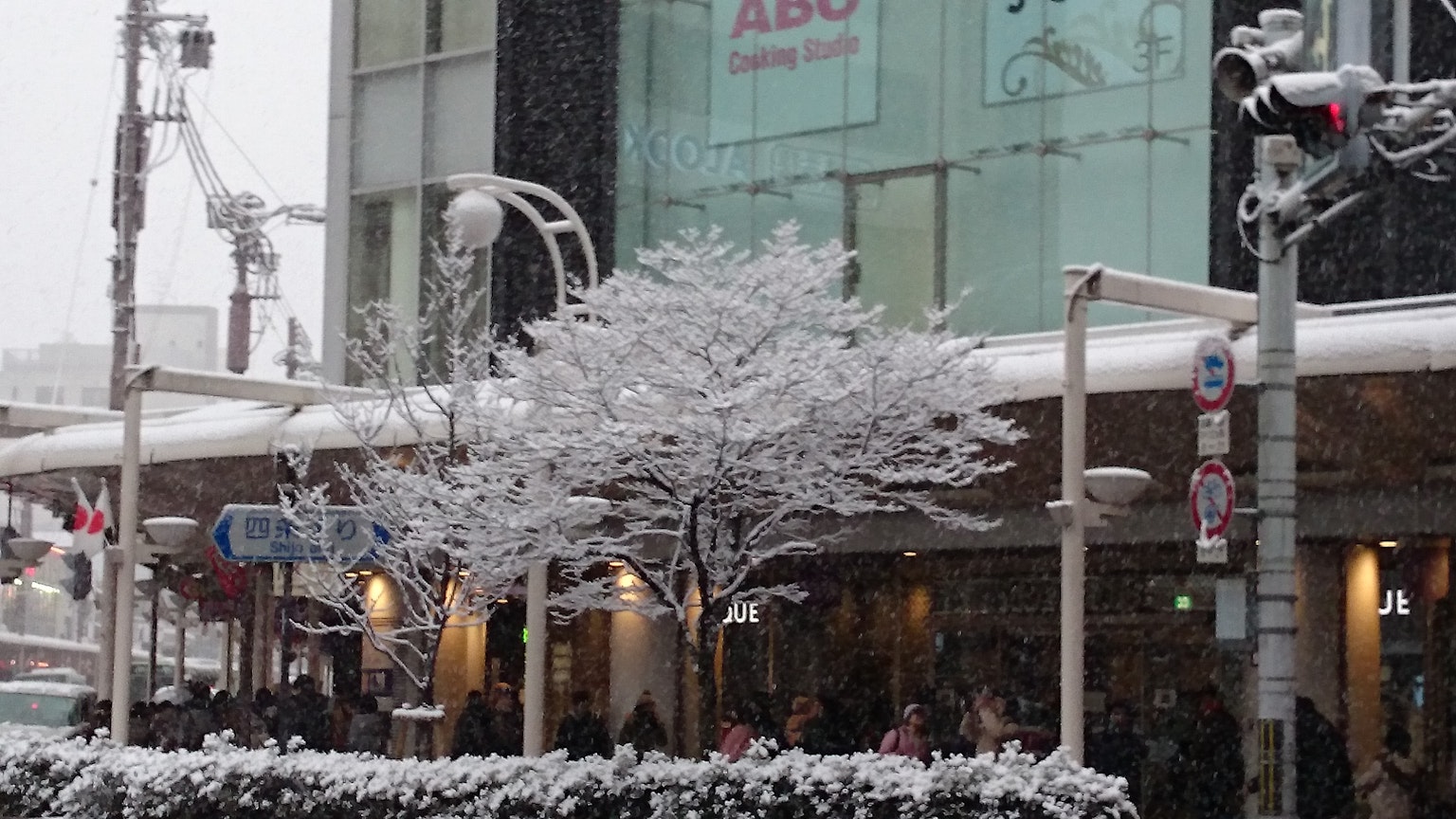 Scena urbana con neve che cade e albero coperto di neve