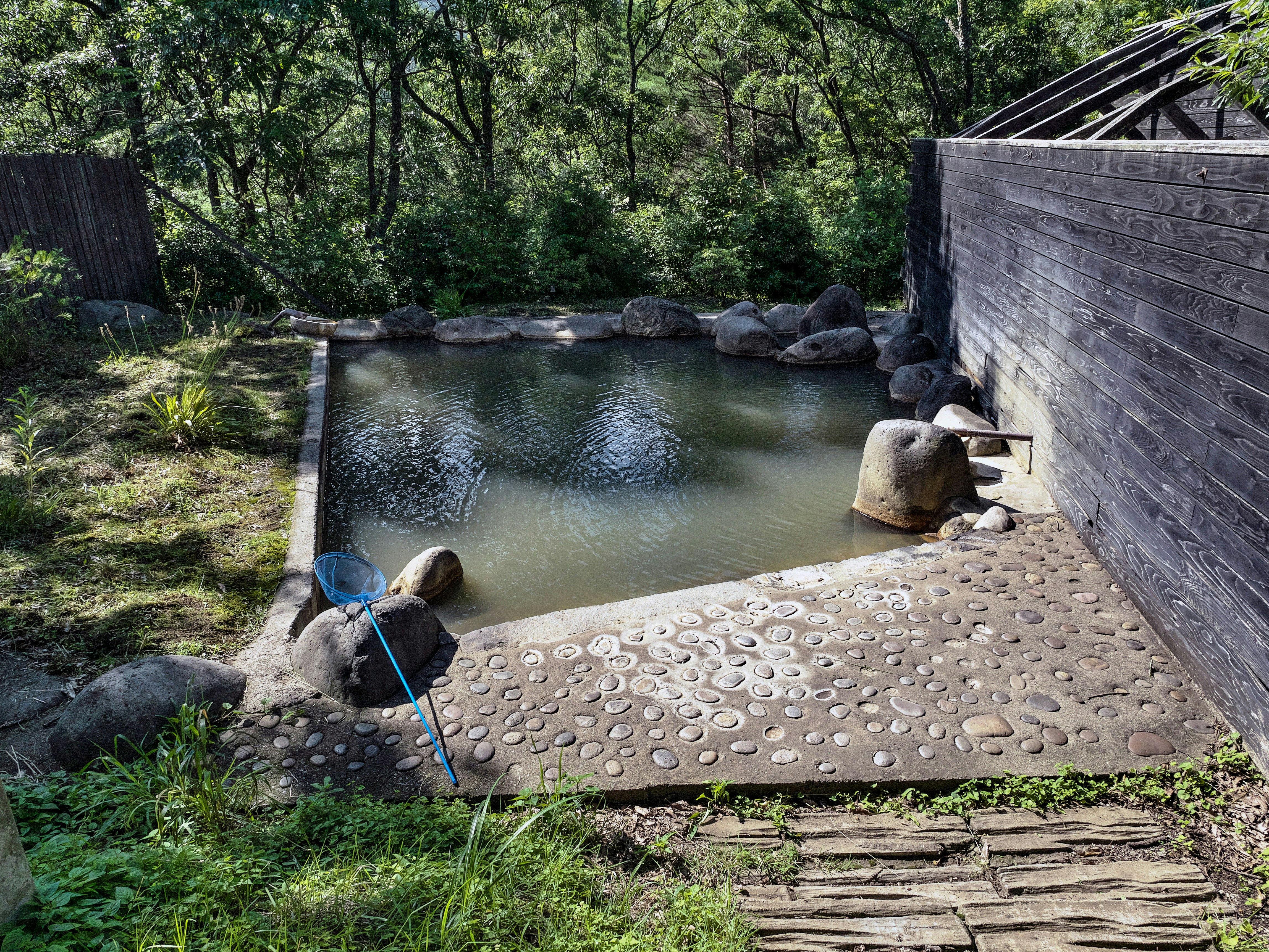 小川と石積みの水辺、自然の庭園風景