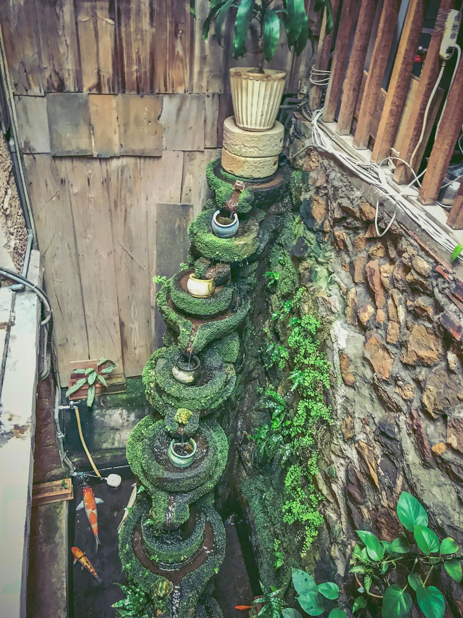 美麗的苔蘚覆蓋的噴泉和盆栽植物場景
