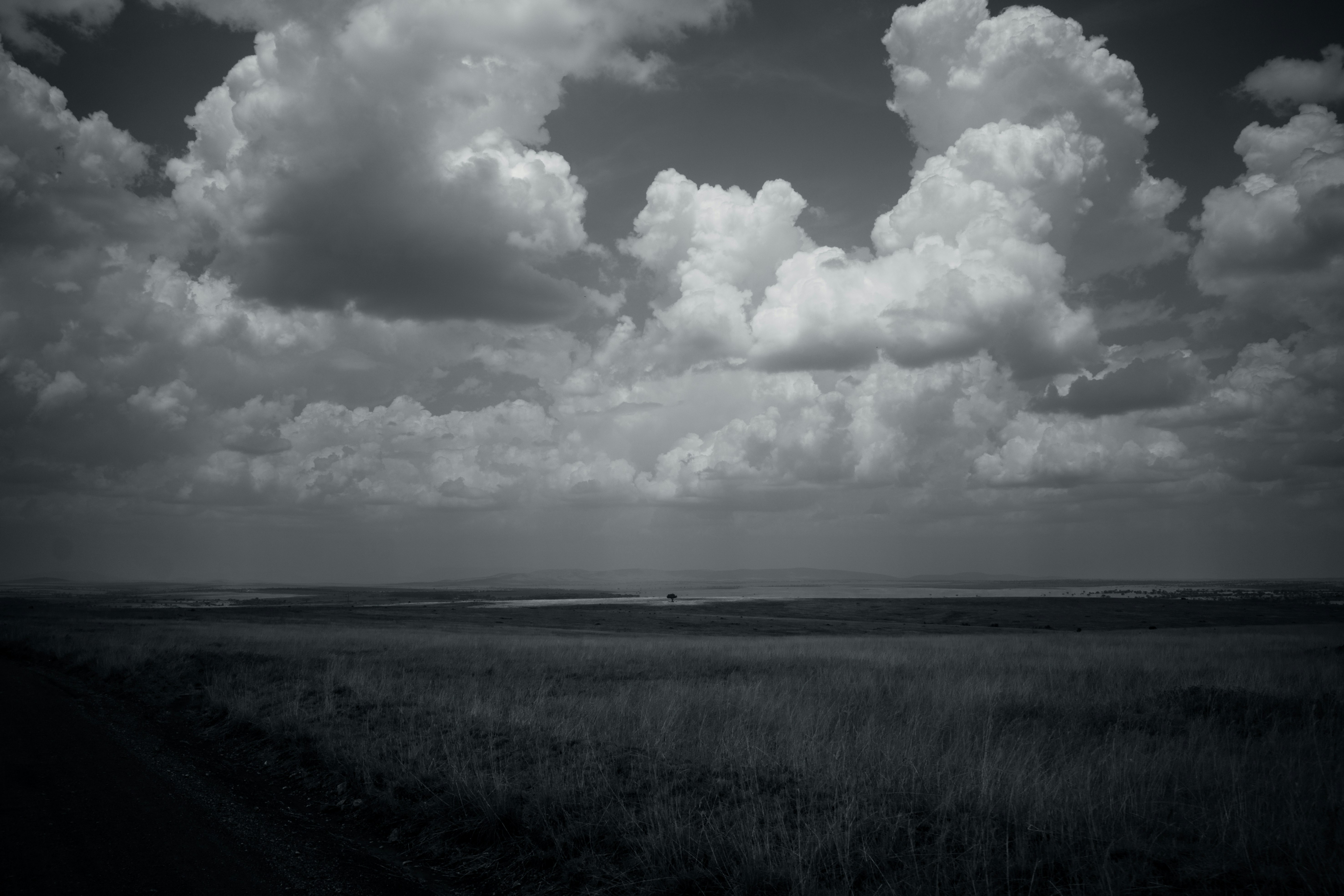 prairie de savane sous de vastes nuages et horizon lointain