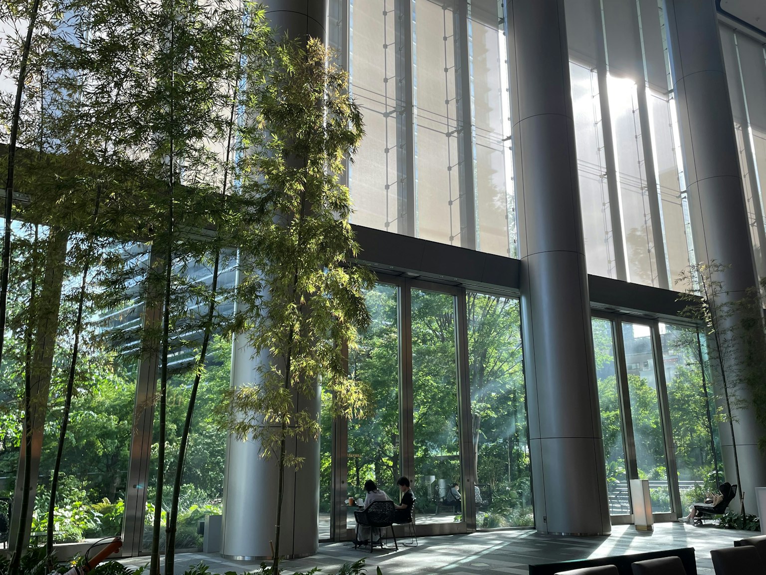 Modern interior with large windows allowing natural light and greenery