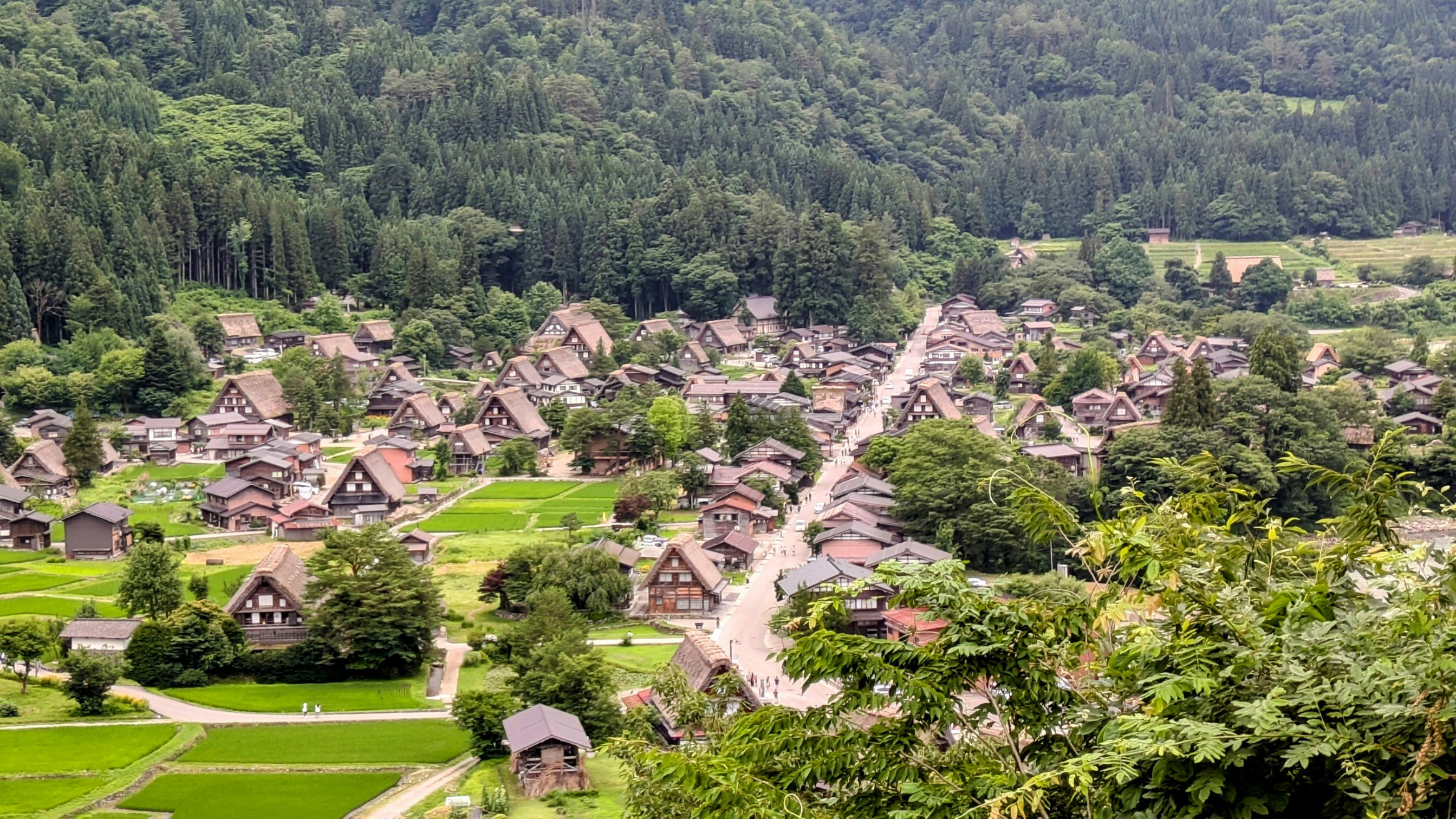 白川乡合掌造村落与初夏乡村景色