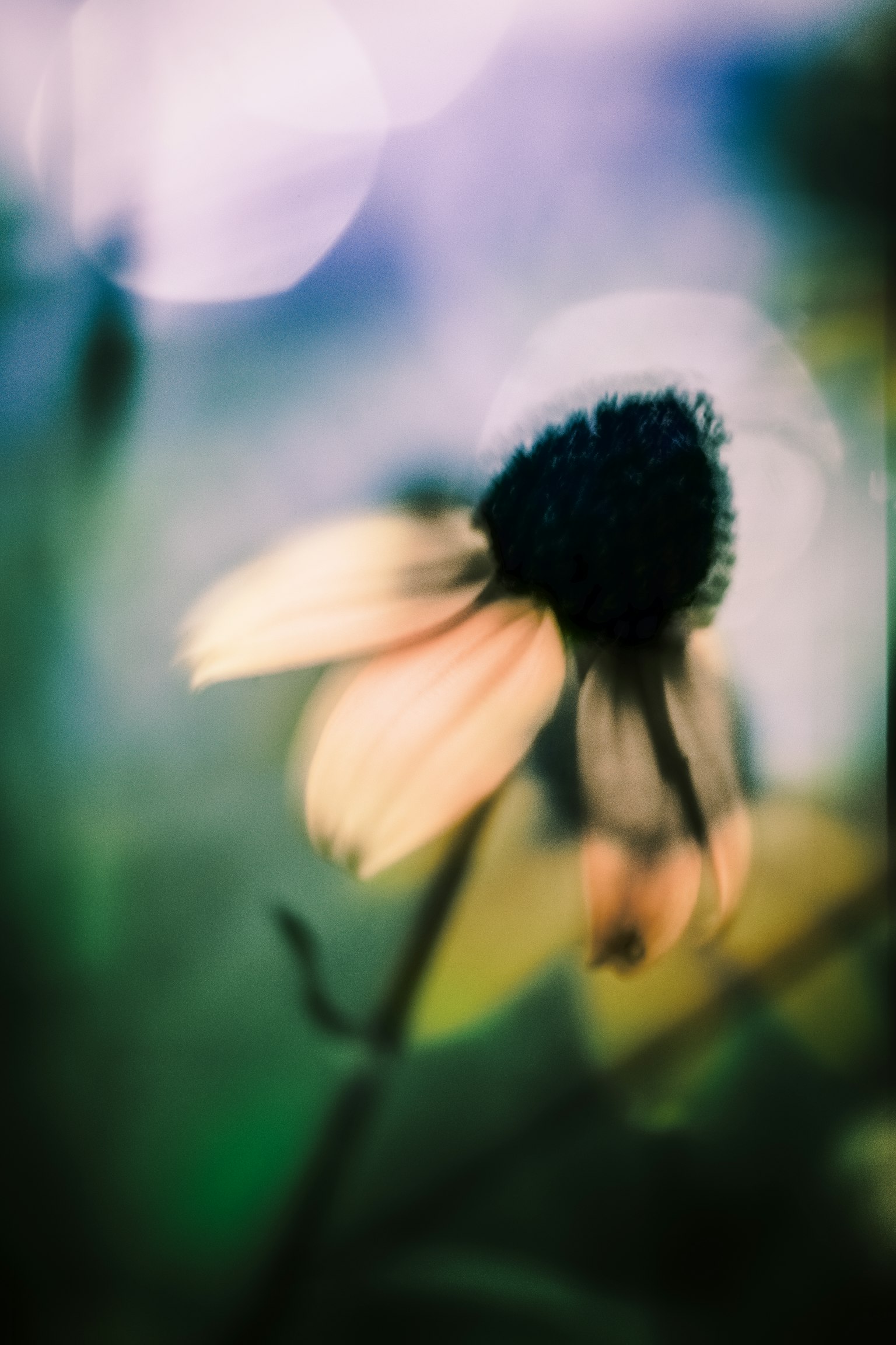 photo-RaNGQ0m70Wt4vYKdAYKg-image