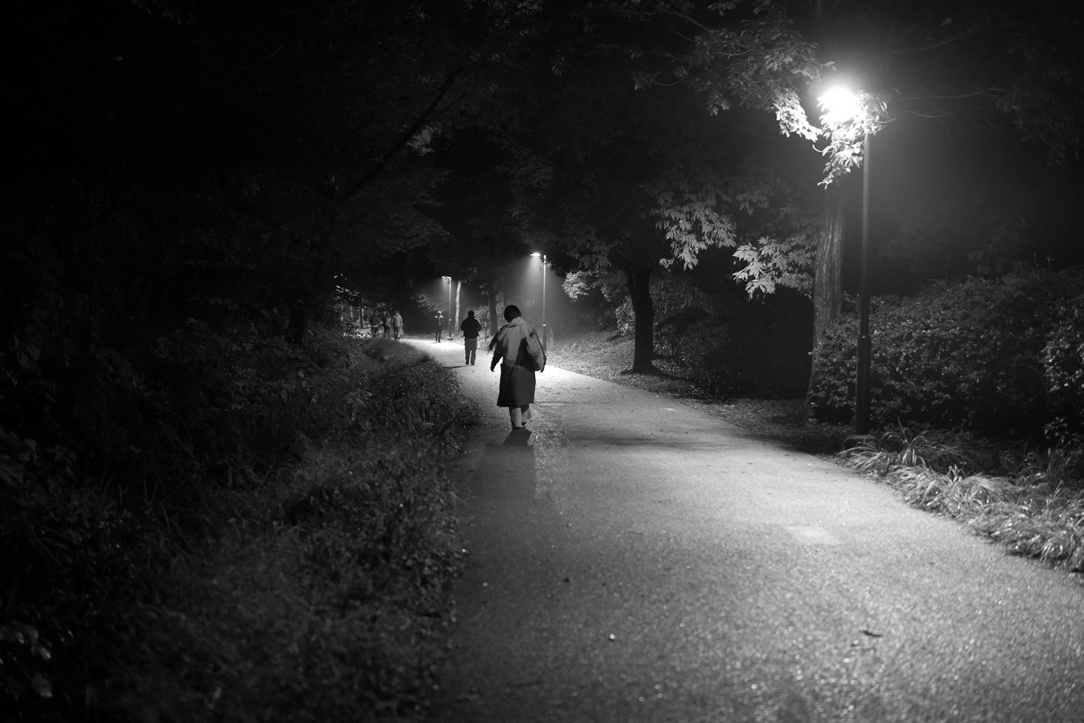 Photo en noir et blanc de personnes marchant sur un chemin sombre éclairé par des lampadaires