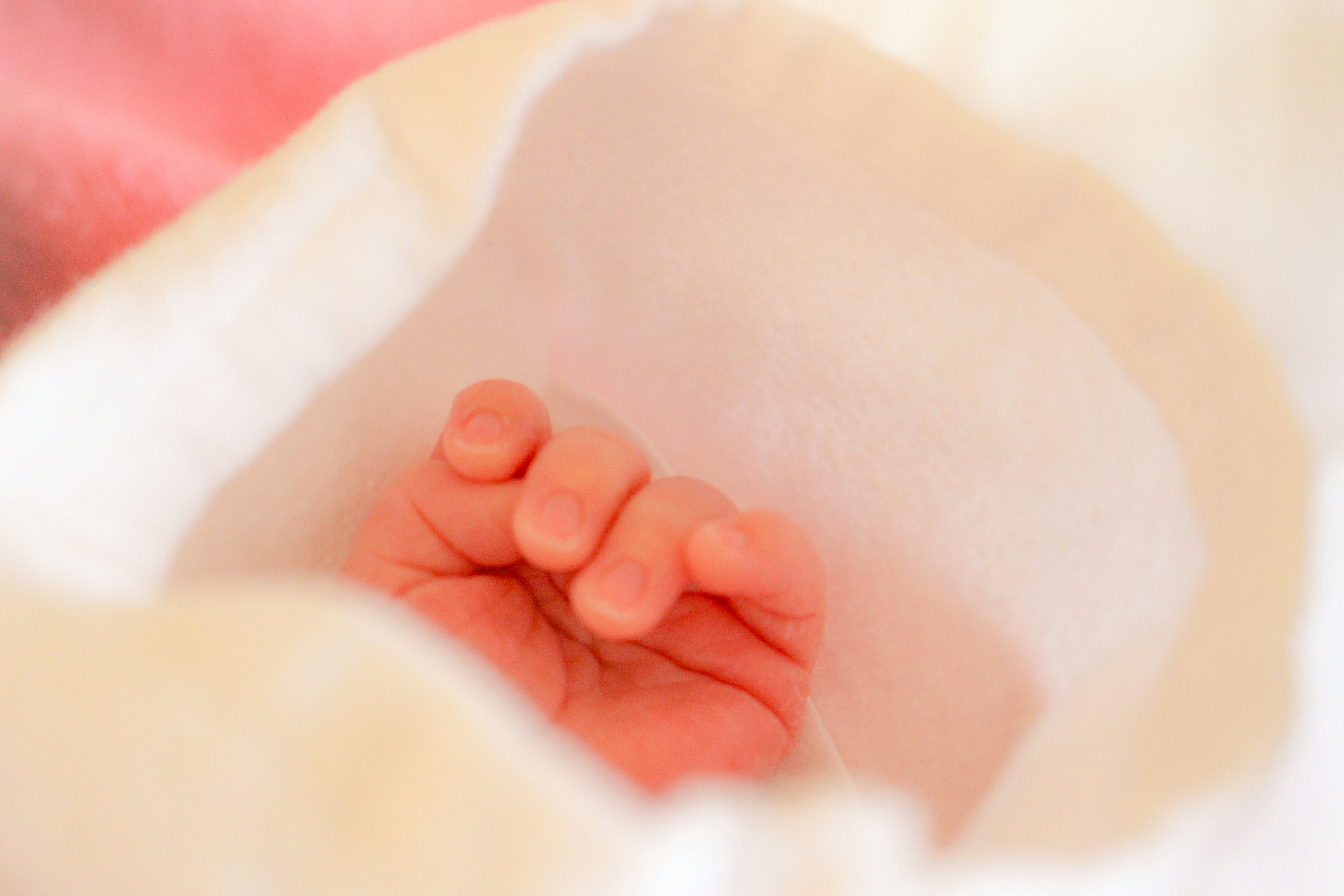 赤ちゃんの小さな手が寝具の上に見える