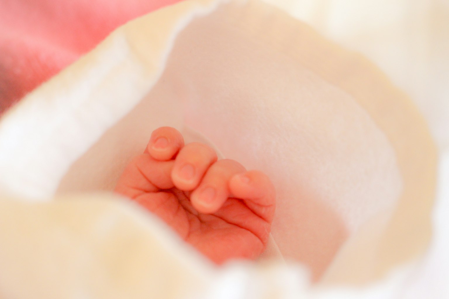 Eine kleine Babyhand in weichem weißen Stoff eingewickelt