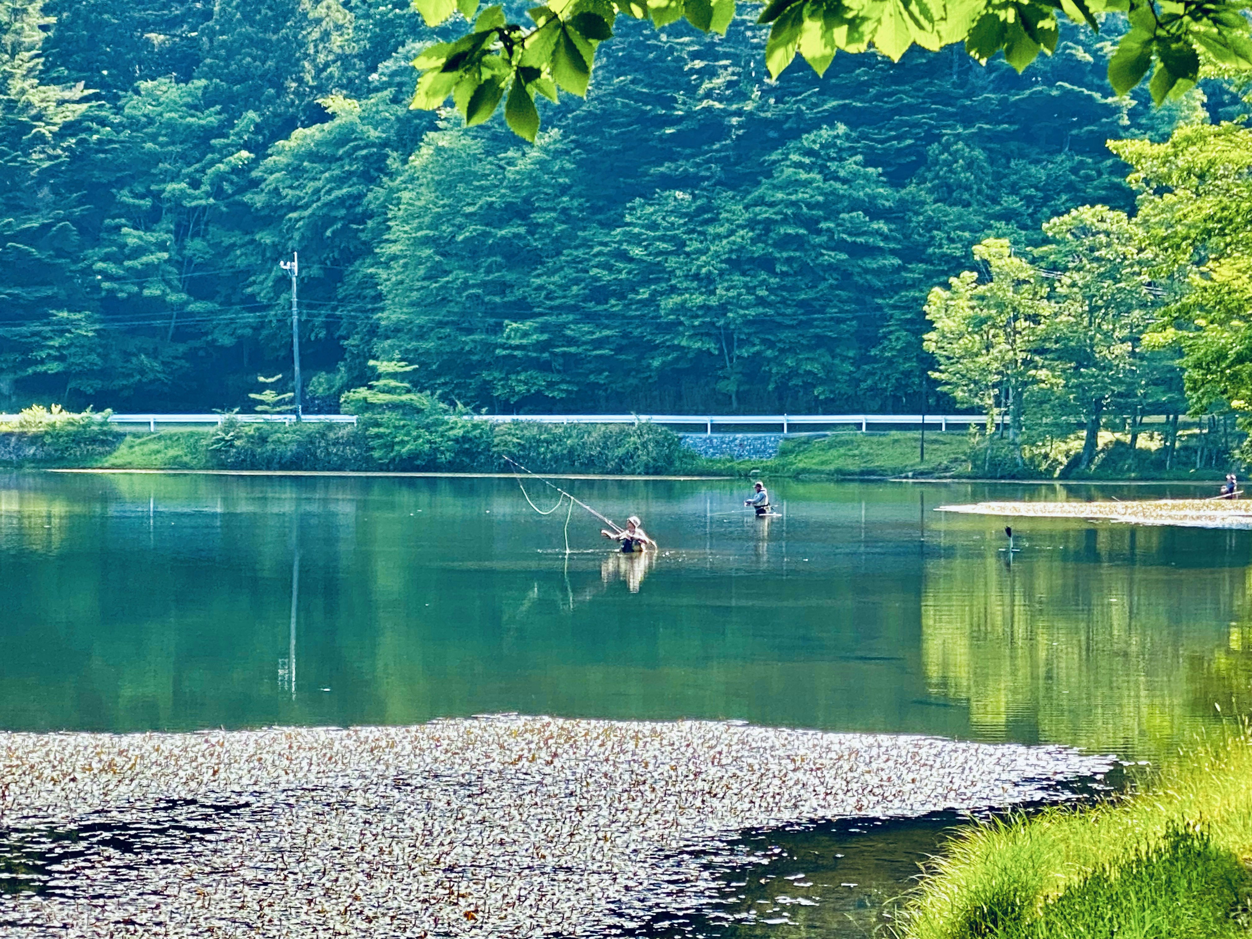 湖畔の緑に囲まれた釣り風景