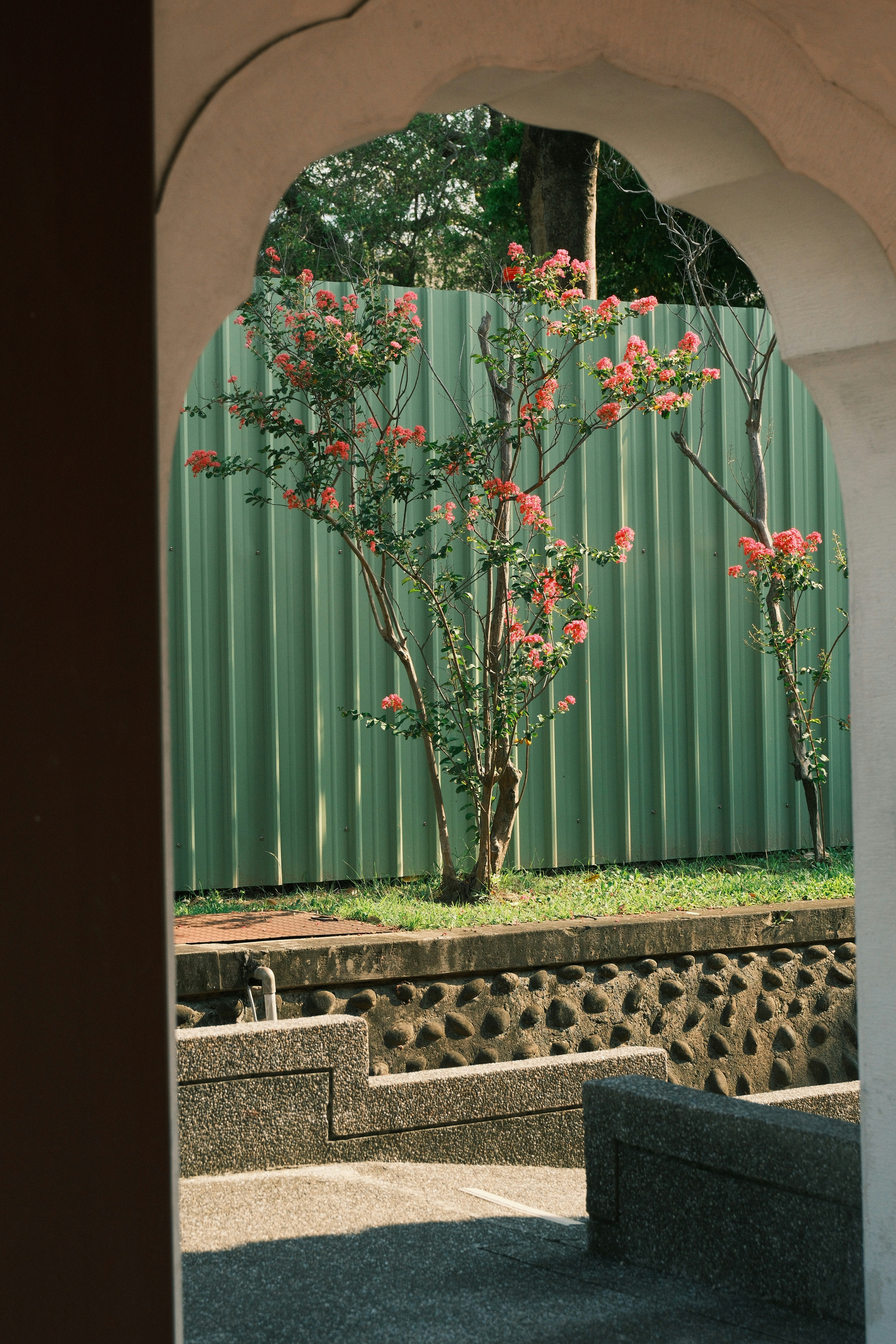アーチの開口から見える花木と緑の壁の庭