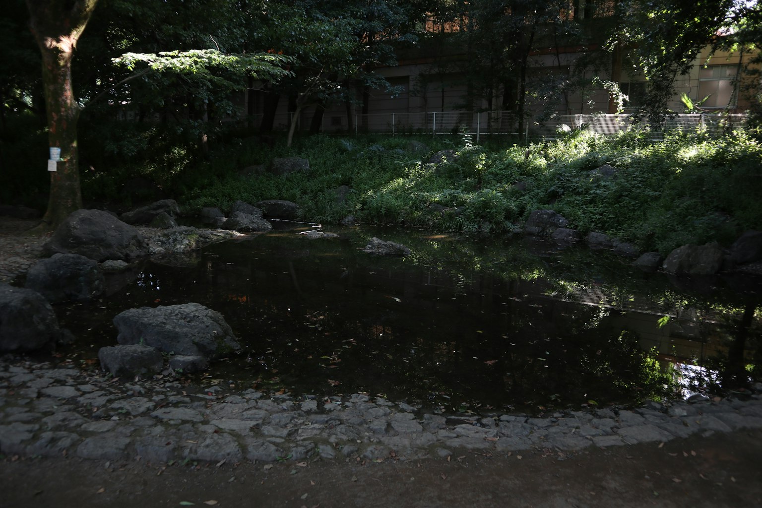 Ruhiger Parkteich umgeben von Grün und Felsen