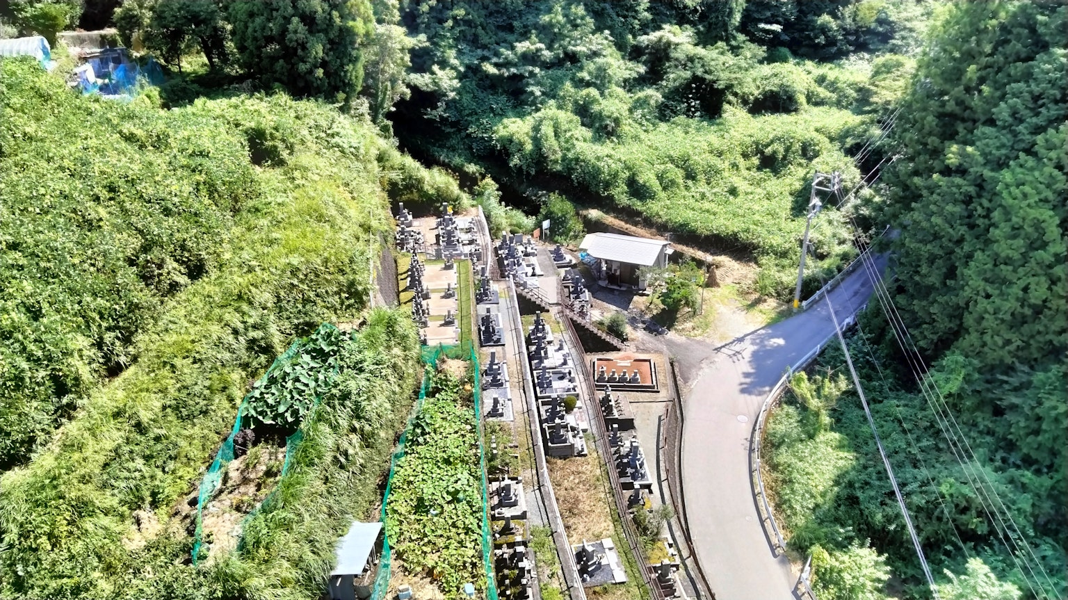 Vista aerea di una fattoria circondata da colline verdi con file di colture e una strada tortuosa