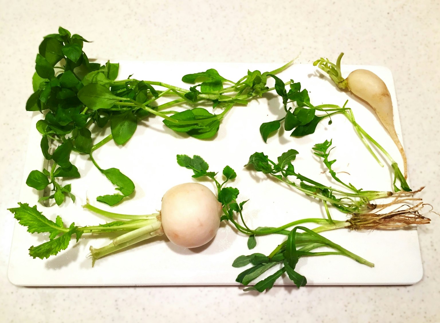 Image of white radish and fresh herbs arranged on a cutting board