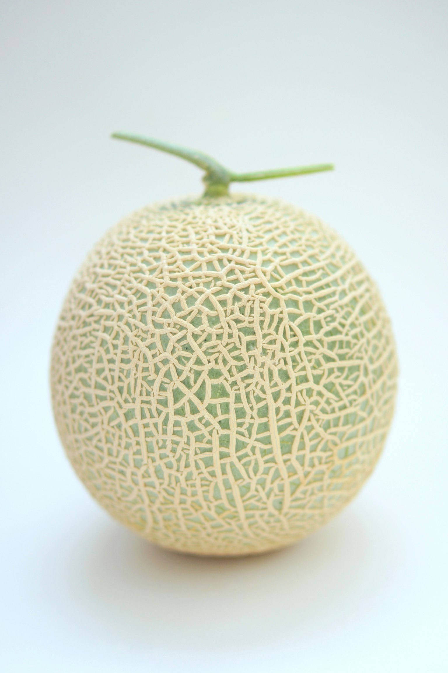 A cantaloupe with netted skin displayed on a white background