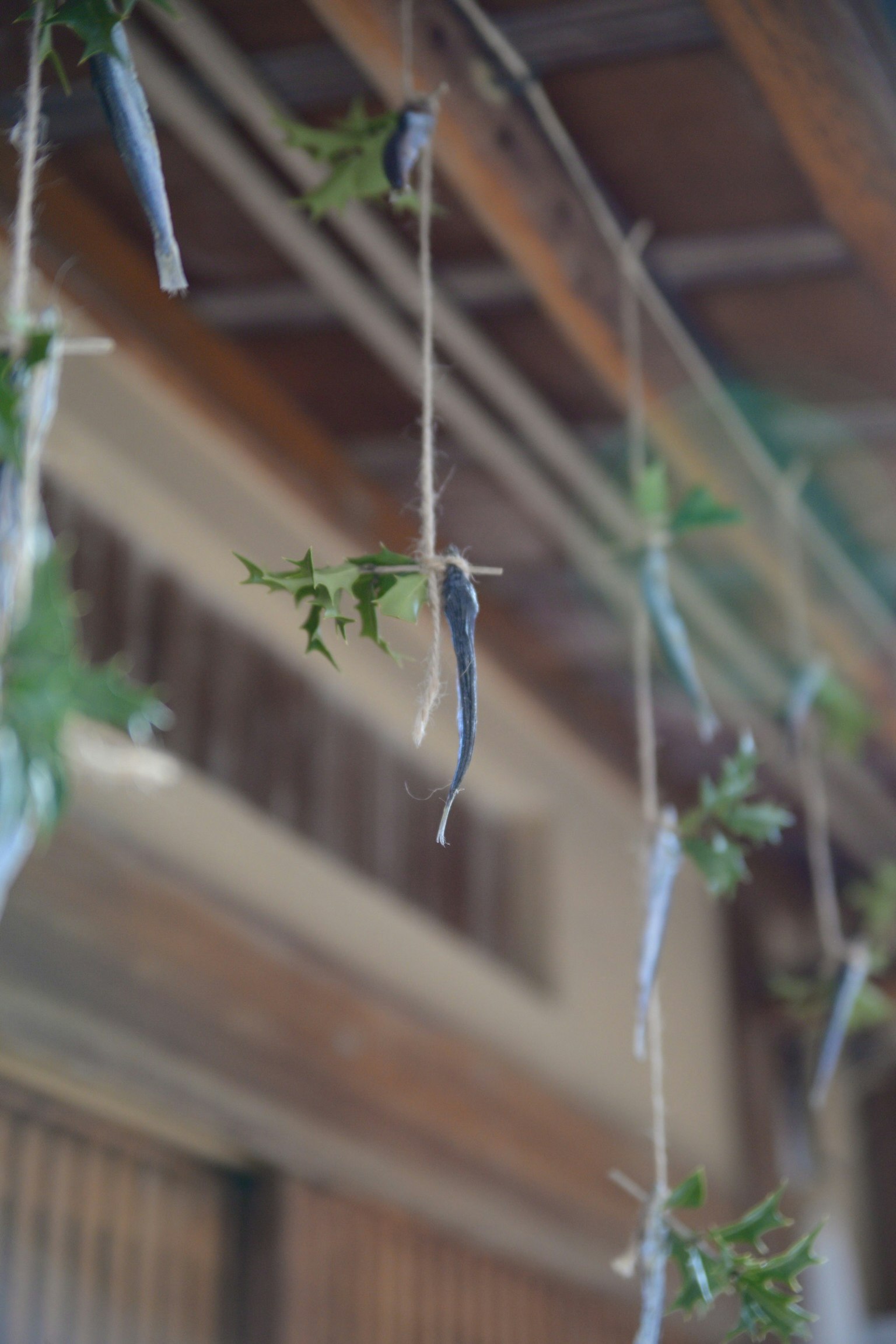 Des haricots bleus et des feuilles vertes suspendus dans un cadre traditionnel japonais