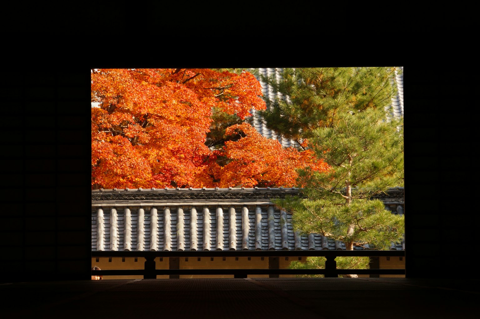 Vista di fogliame autunnale vibrante con tetto giapponese tradizionale