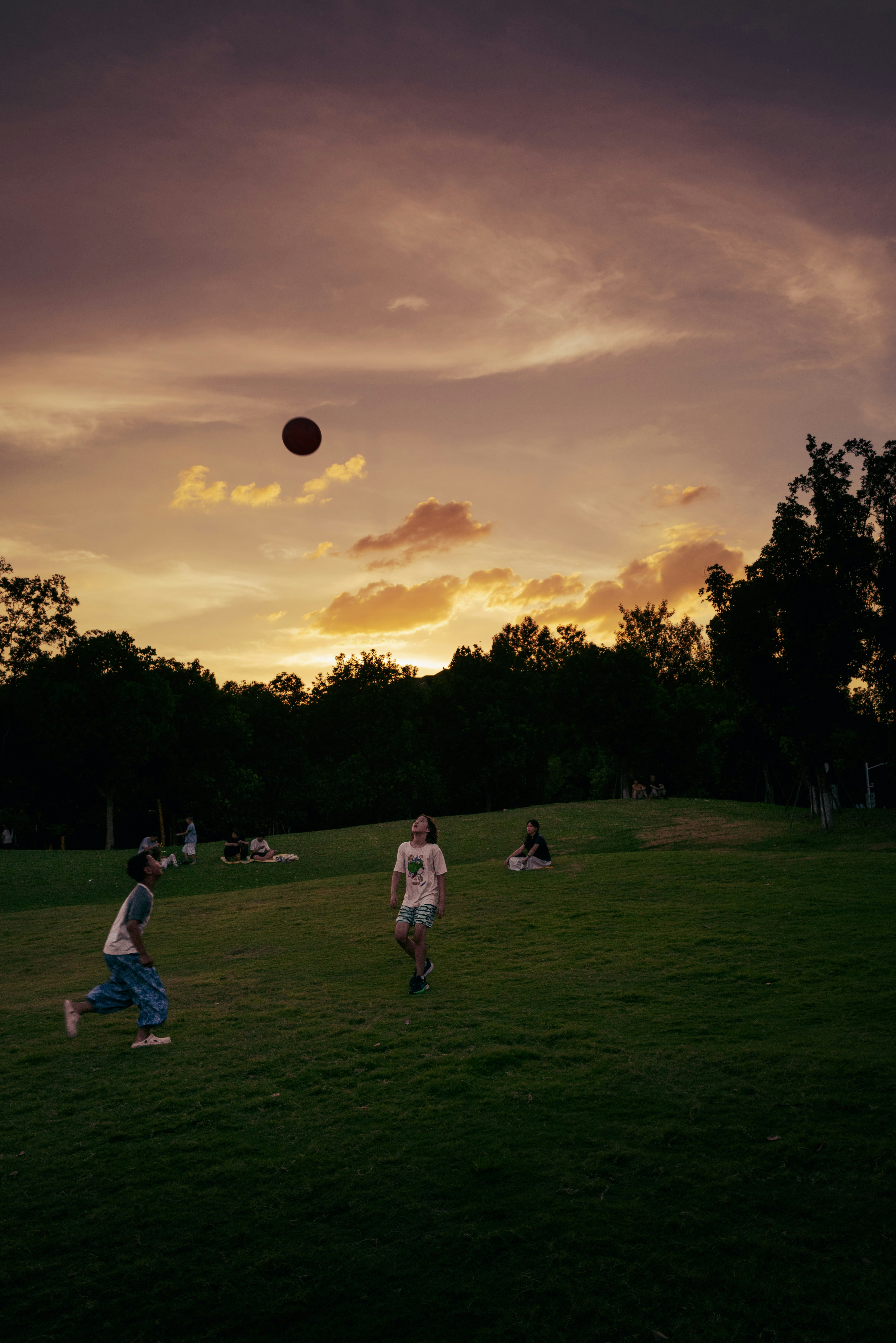 夕暮れの公園で遊ぶ人々と広い芝生