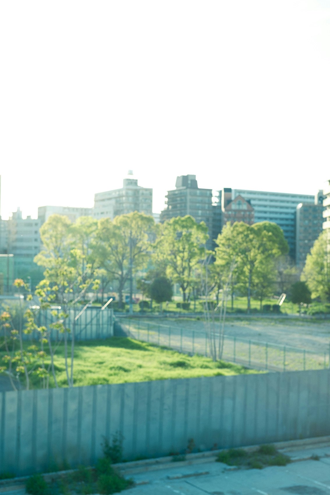 新大阪の街並みを望む緑の並木と高層ビル群
