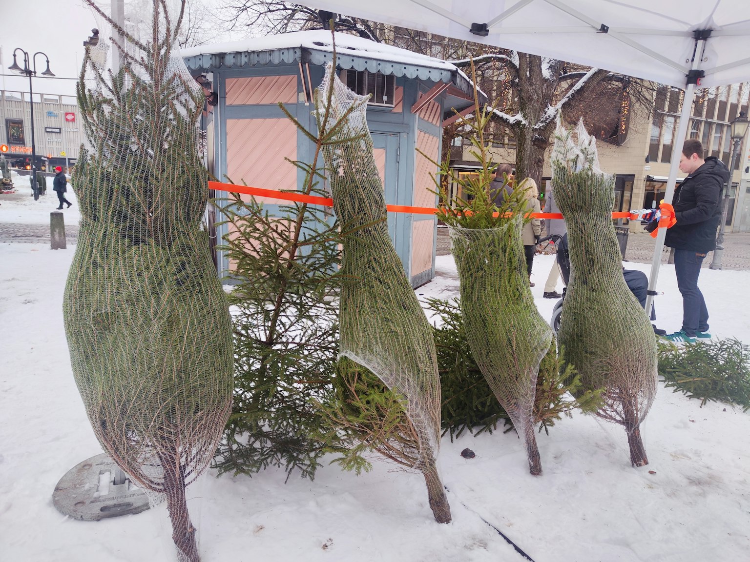雪中獨特形狀的樹木和小屋