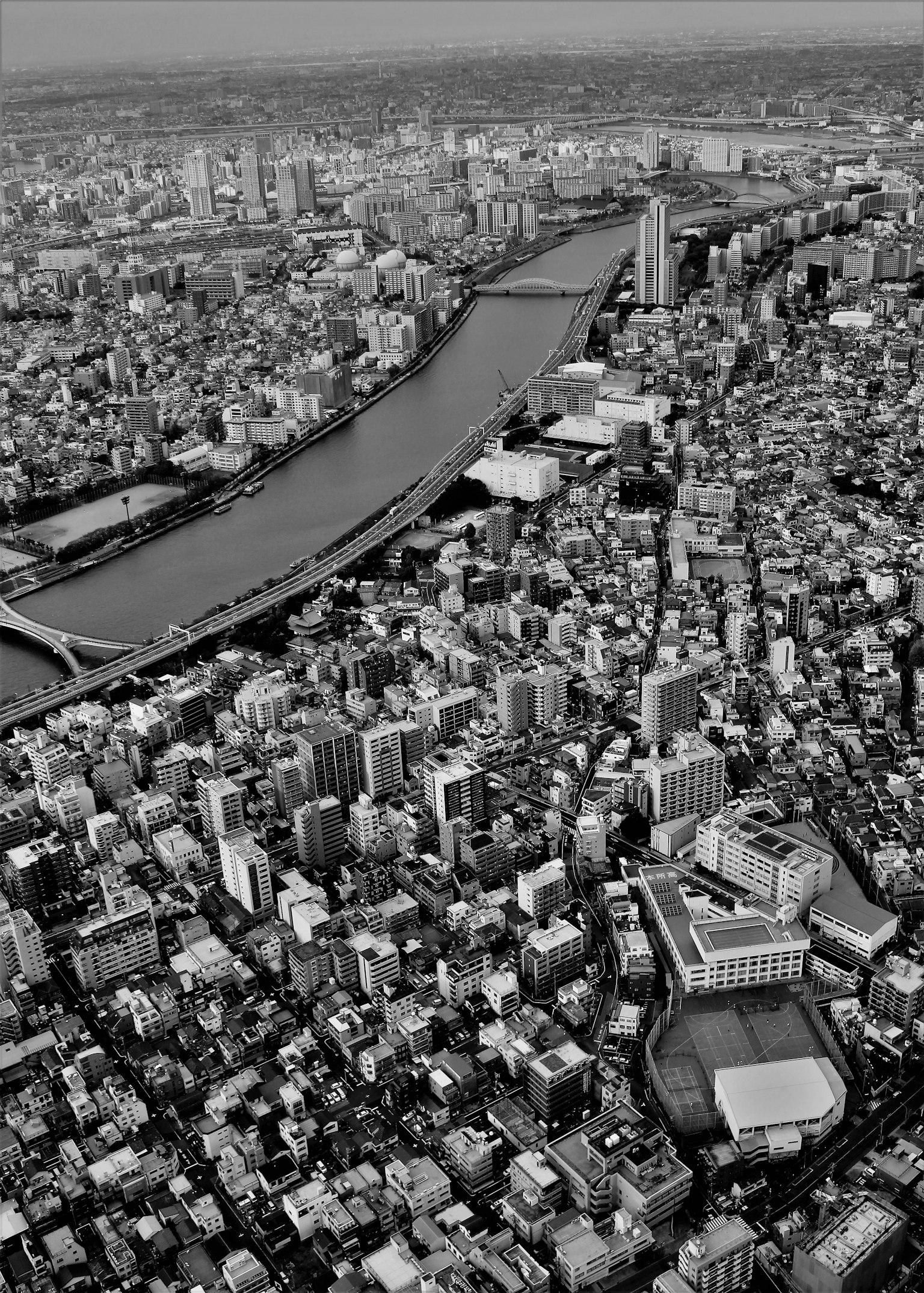 Vista aerea in bianco e nero di Tokyo con edifici e un fiume