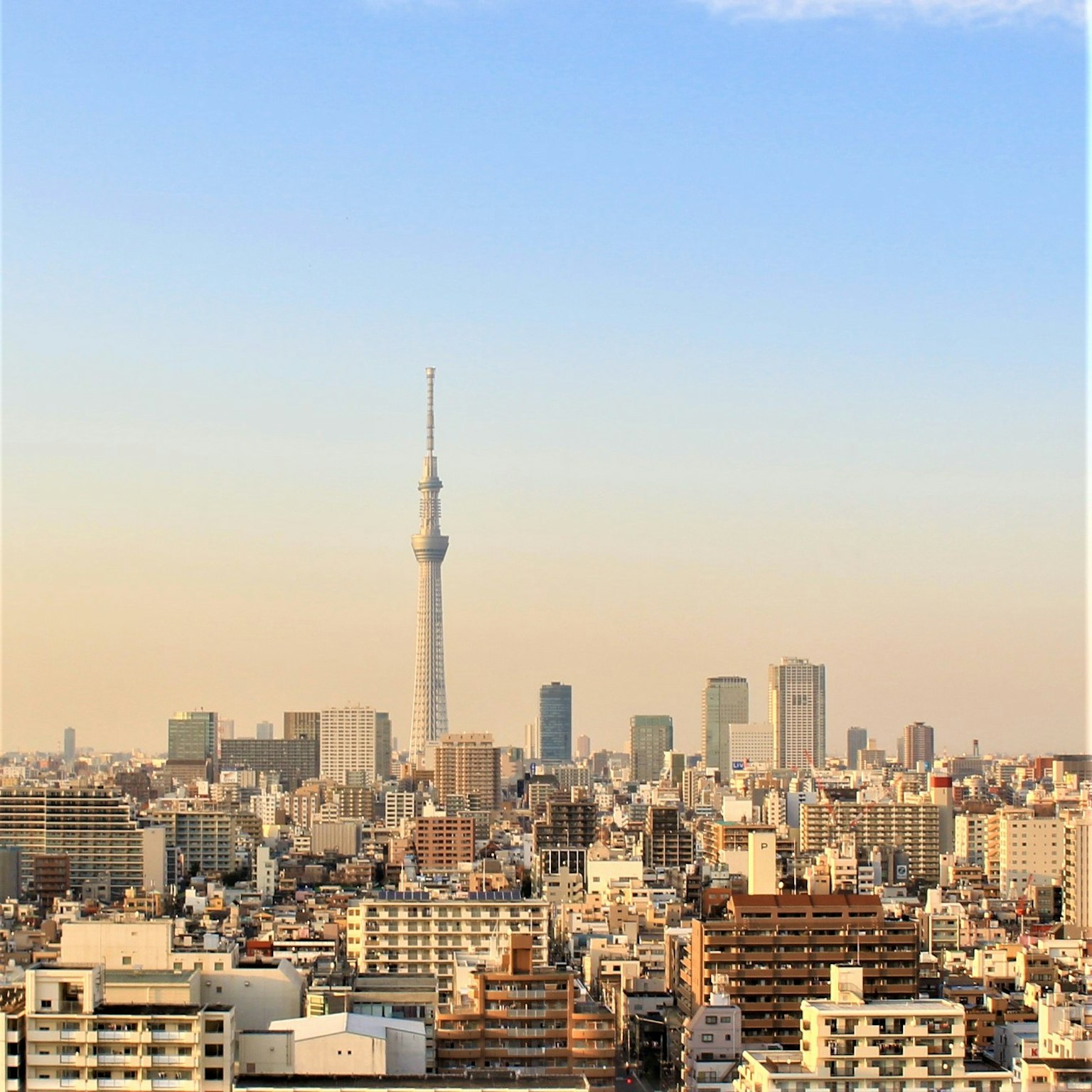 Stadtansicht mit dem Tokyo Skytree