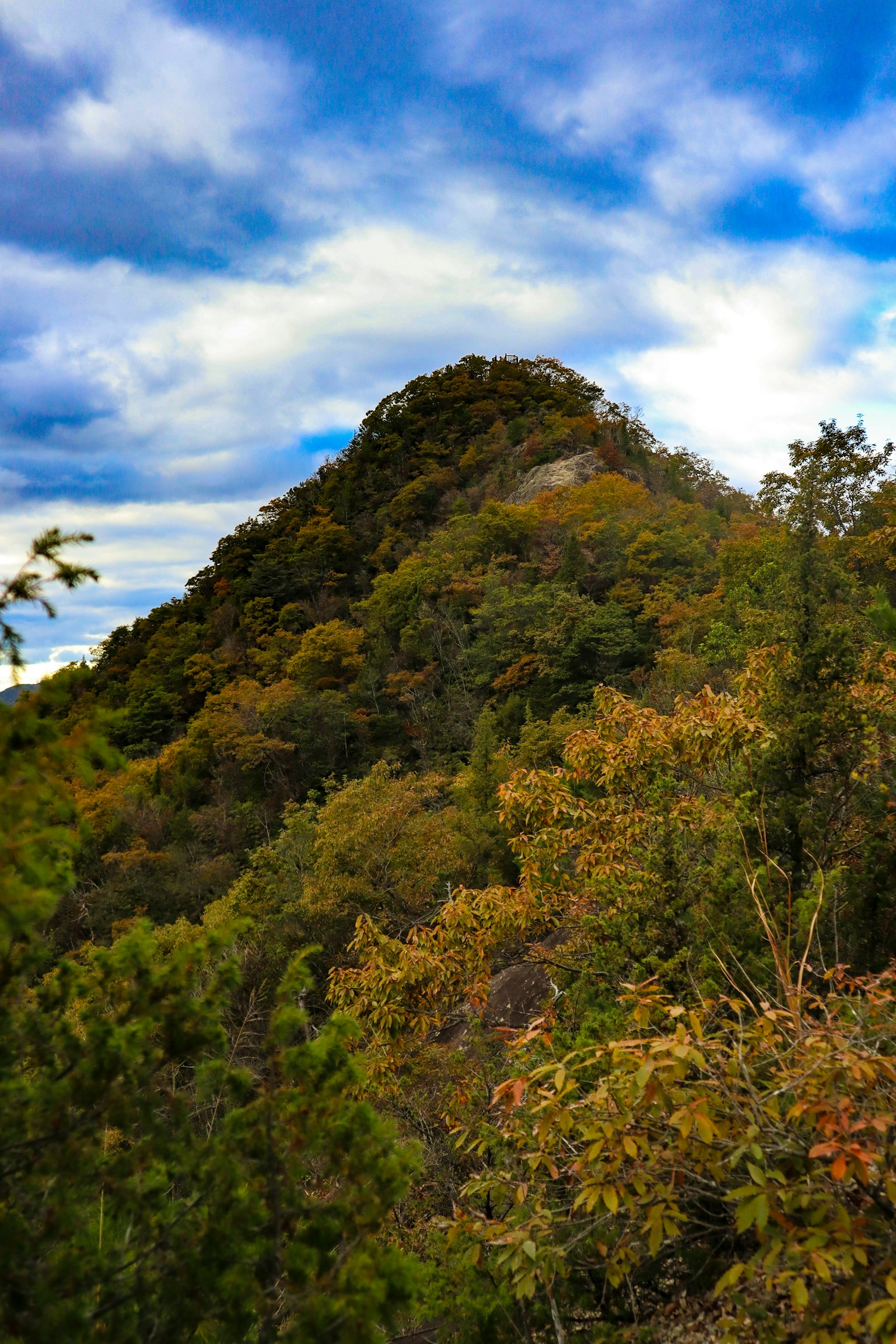 Scenic view of a hill covered in green and brown trees under a blue sky with clouds