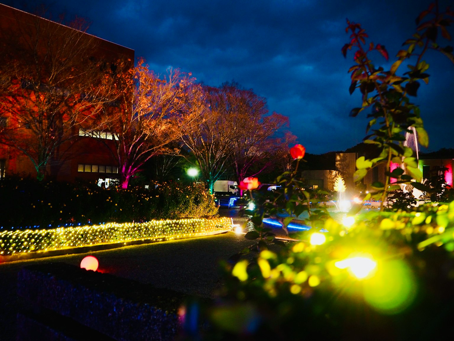 Scena di strada illuminata di notte con luci colorate e alberi