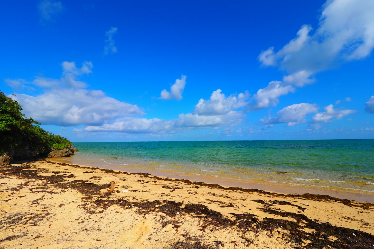 Beach scene with blue sky and green sea
