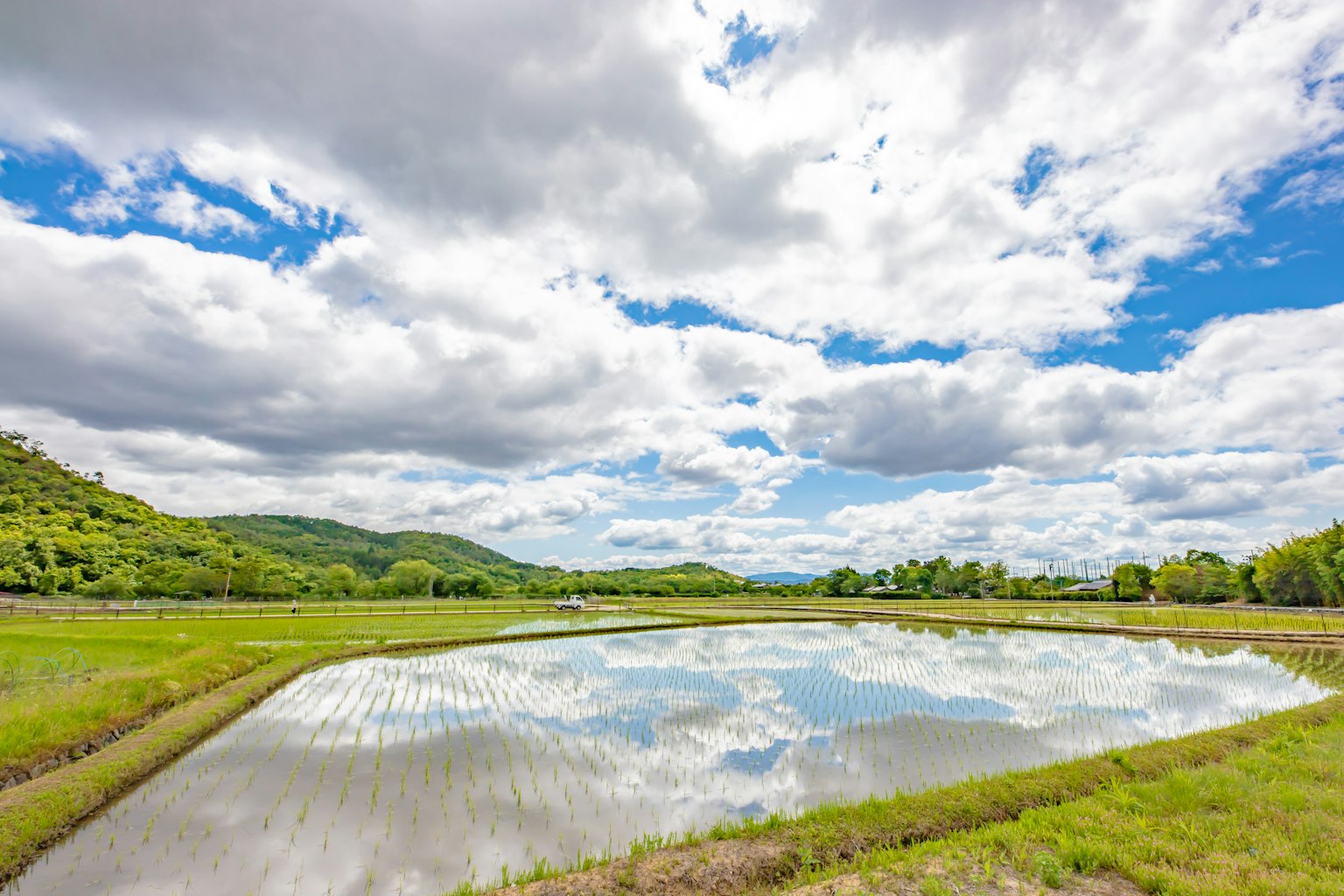 風景如畫的池塘倒映著藍天和白雲，周圍是綠色的田野和山丘