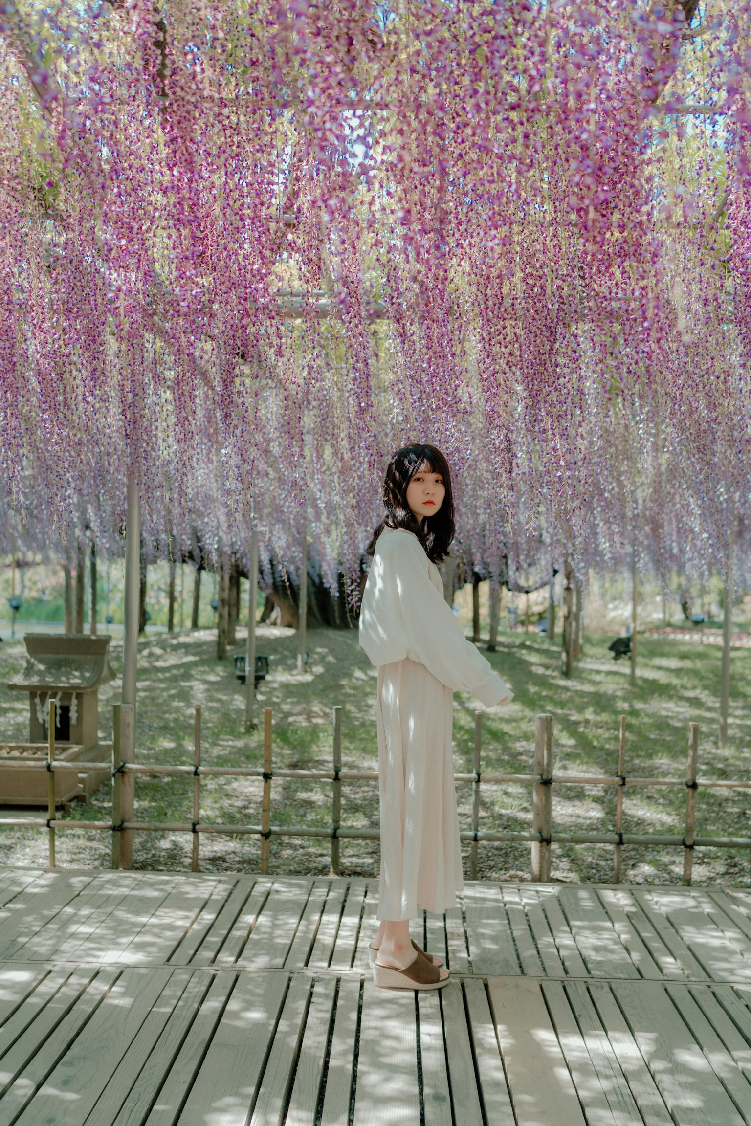 Una donna che sta in un bel giardino con fiori viola appesi