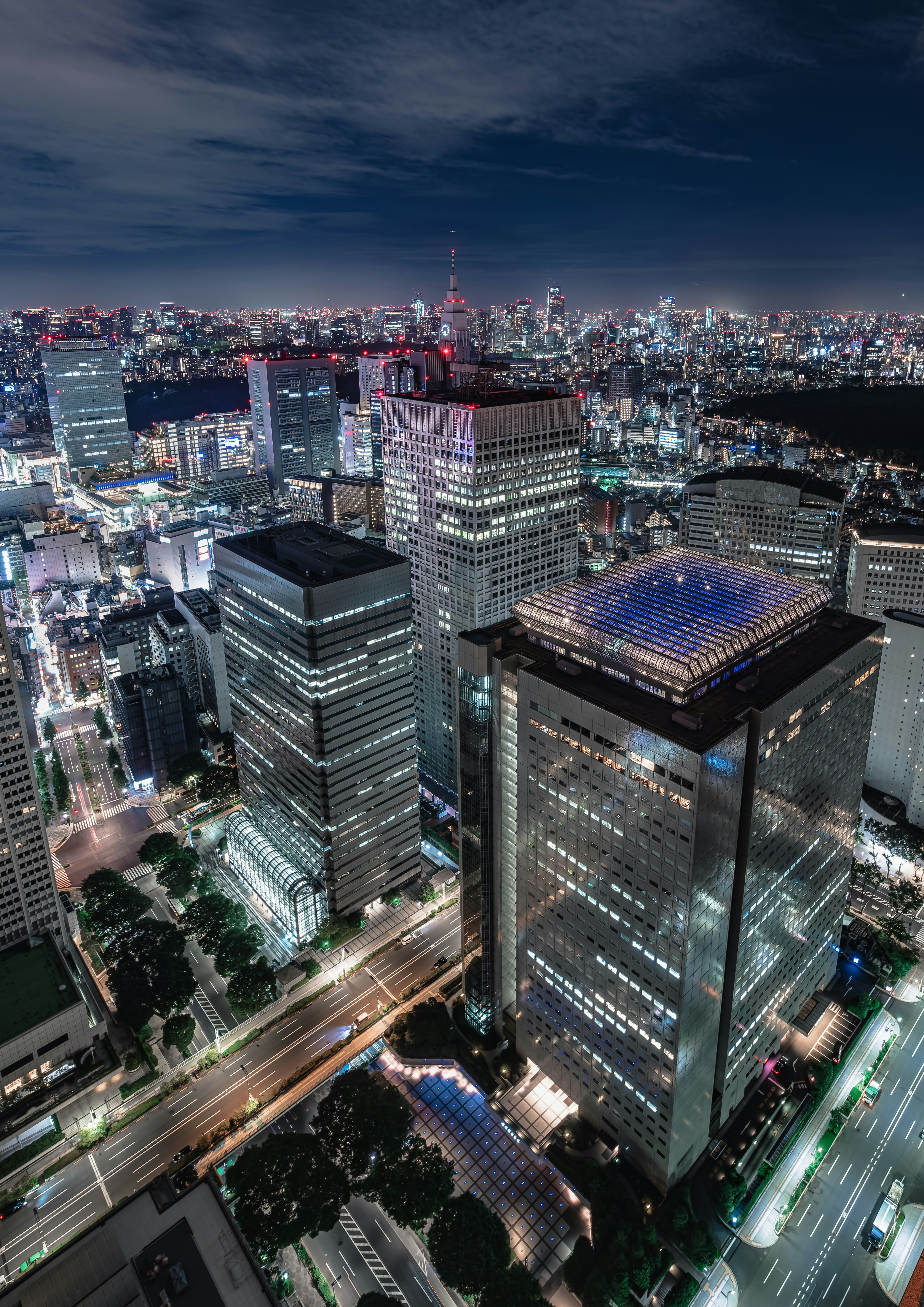 東京都庁周辺の高層ビル群と夜景の街並み