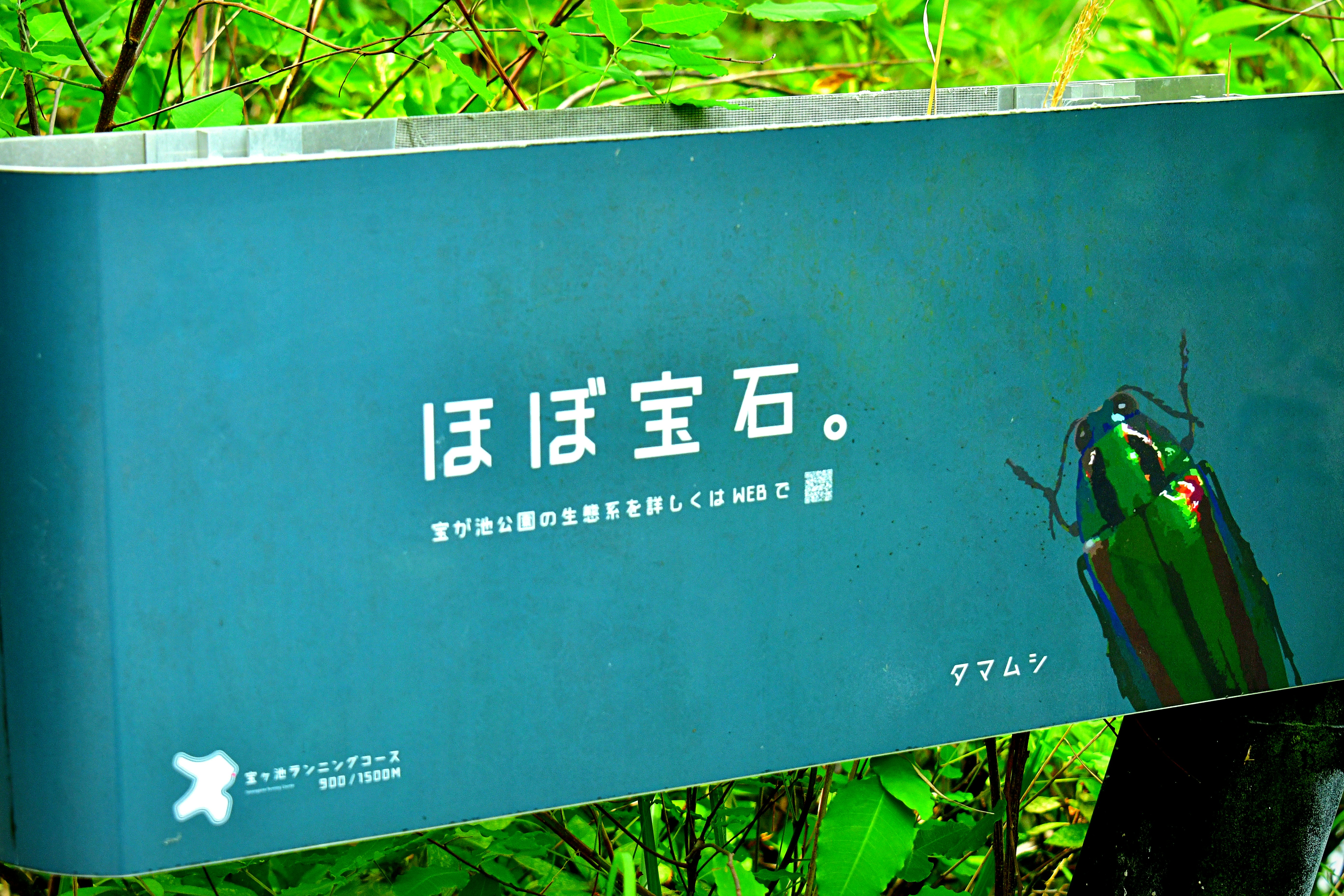緑の葉の中に設置された「ほぼ宝石。」の看板画像