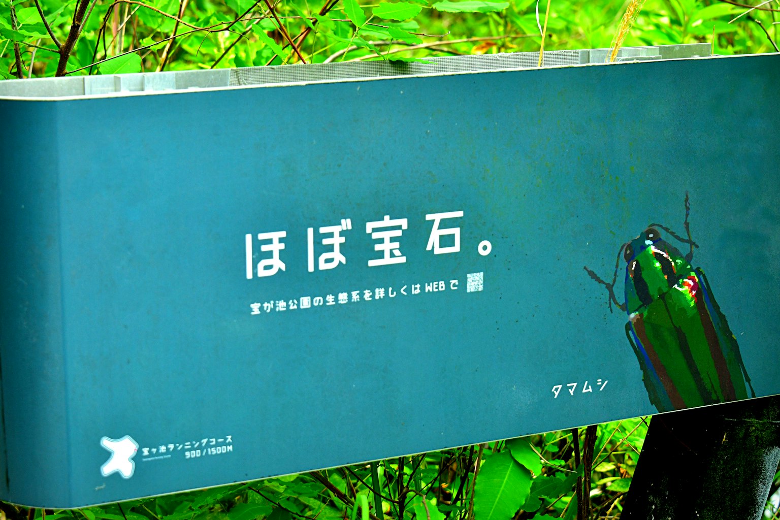 Cartel con el texto 'ほば宝石' sobre un fondo verde