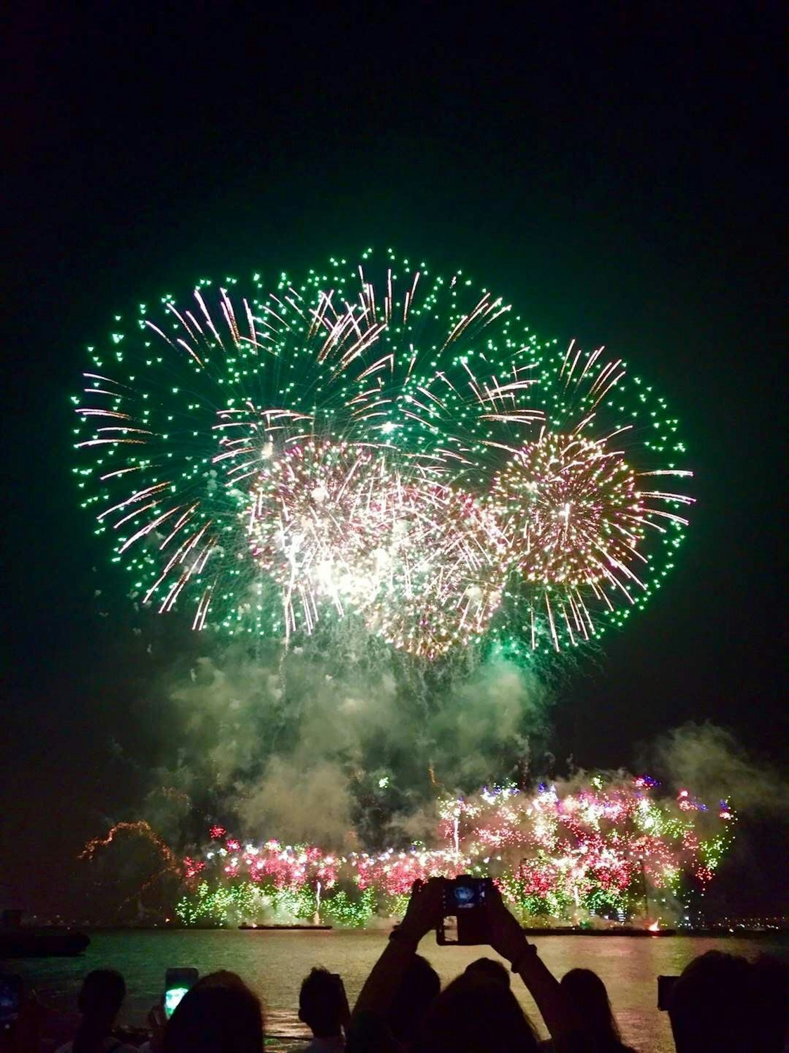 Spettacolo di fuochi d'artificio colorati in verde e rosa che illuminano il cielo notturno