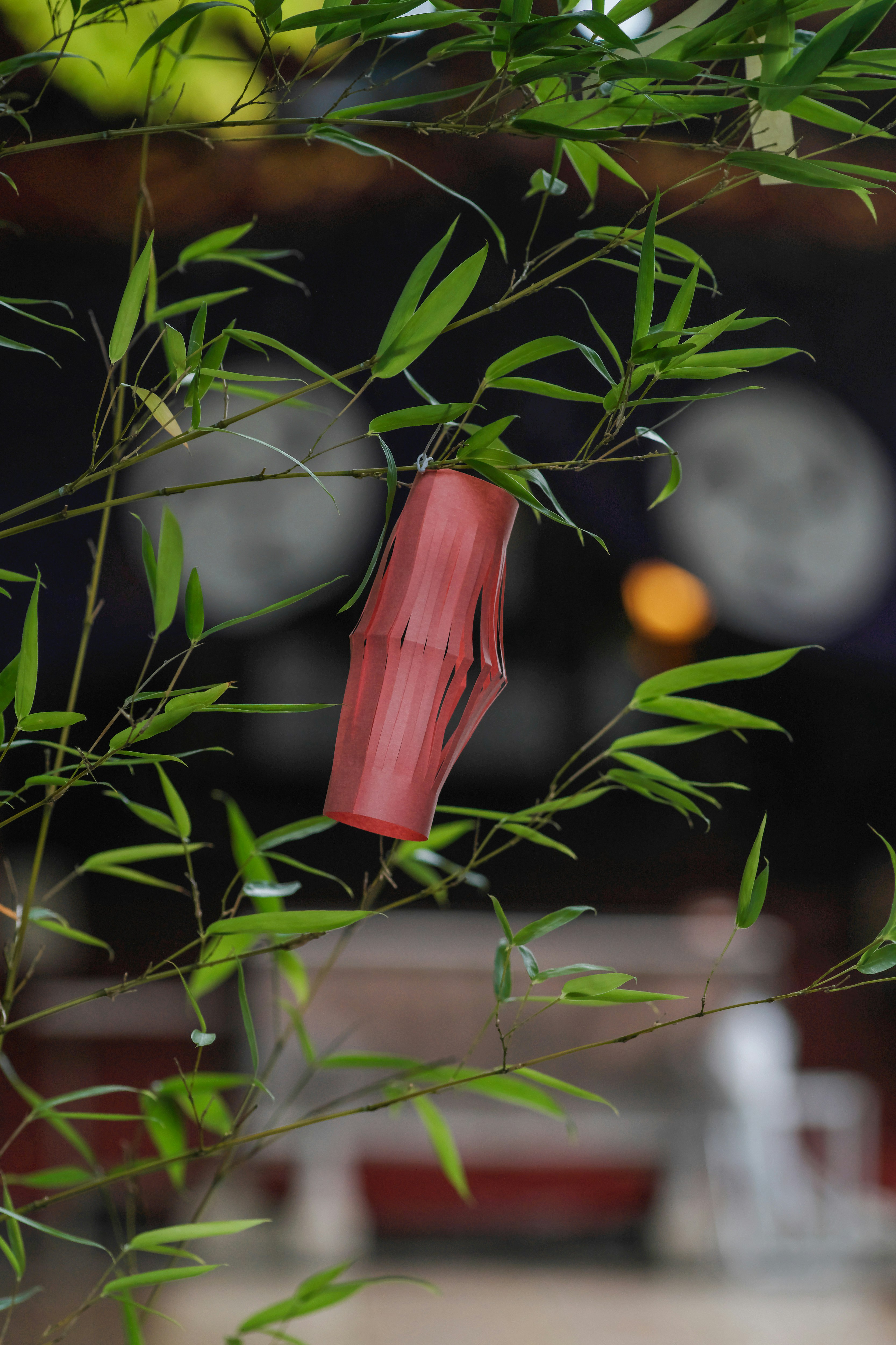 Tanabata-Dekorationen mit an Bambus gebundenen Tanzaku in einer Innenaufnahme
