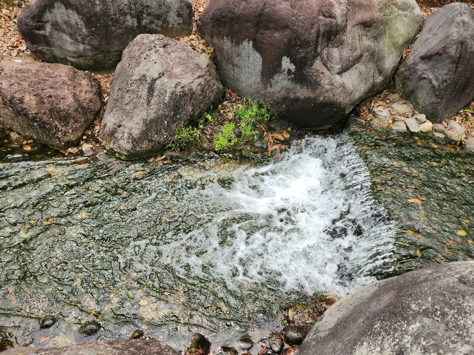 Ruisseau coulant avec des rochers et des zones de verdure