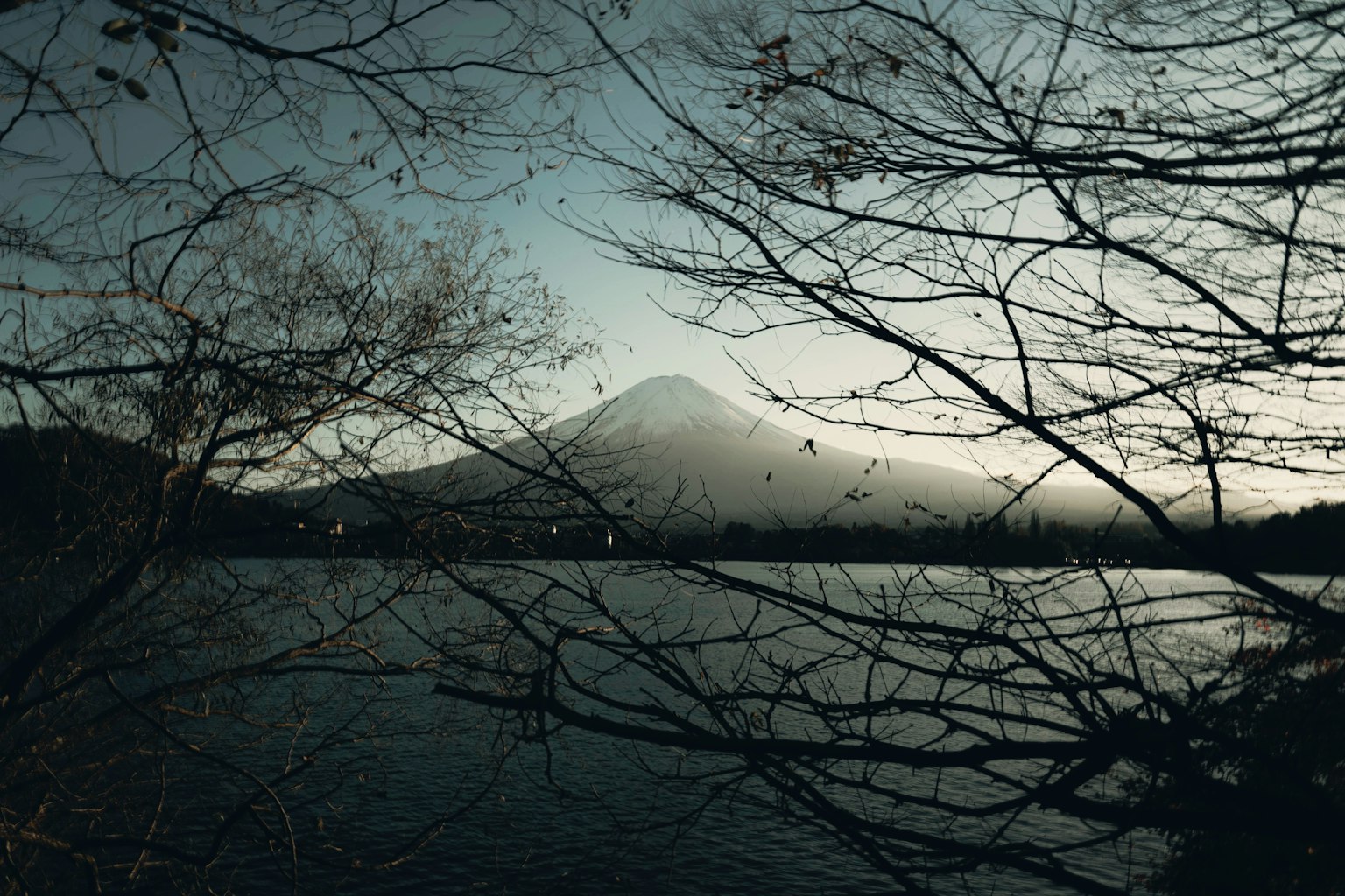 Vista serena de un lago con el monte Fuji al fondo y ramas de árboles en primer plano