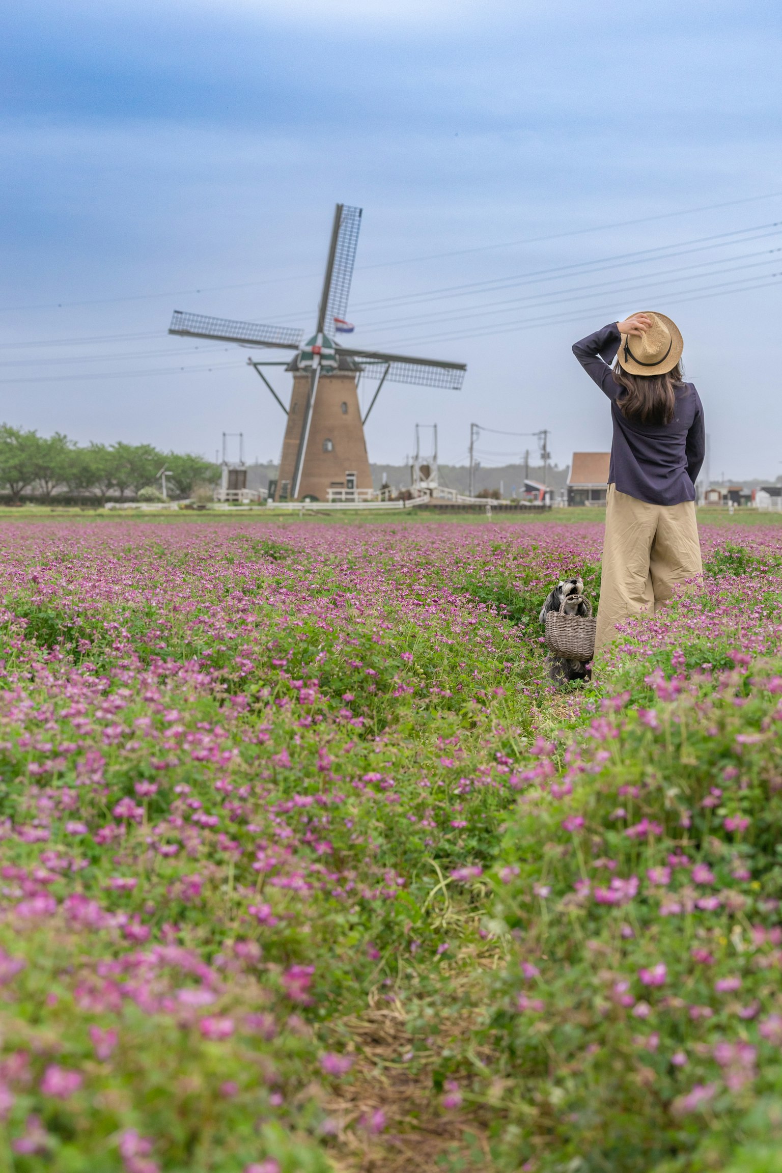 Woman standing in a flower field with a windmill in the background