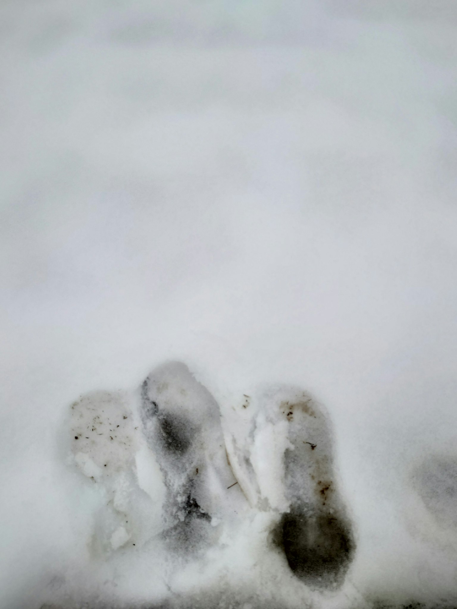 Footprints in the snow creating patterns